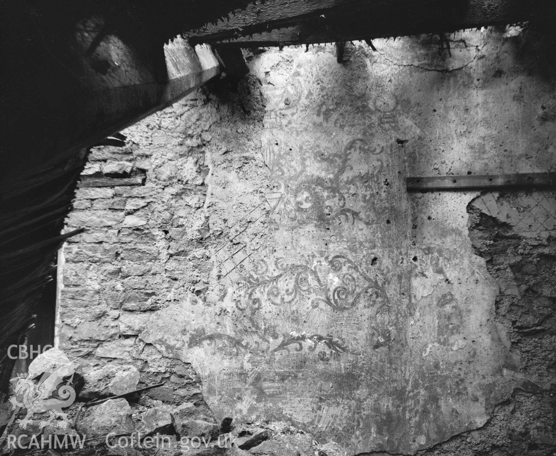 Black and white acetate negative showing wallpainting at Ty Erfyn.