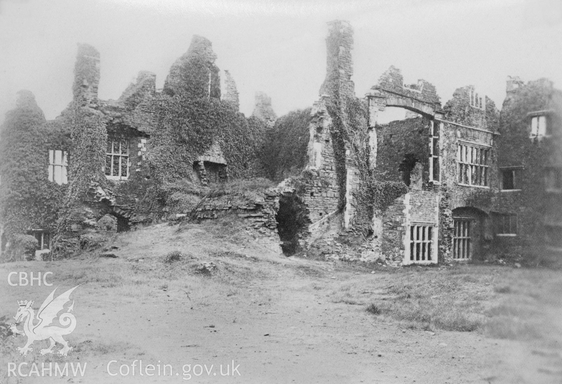 Black and white acetate negative showing view of  Neath Abbey.