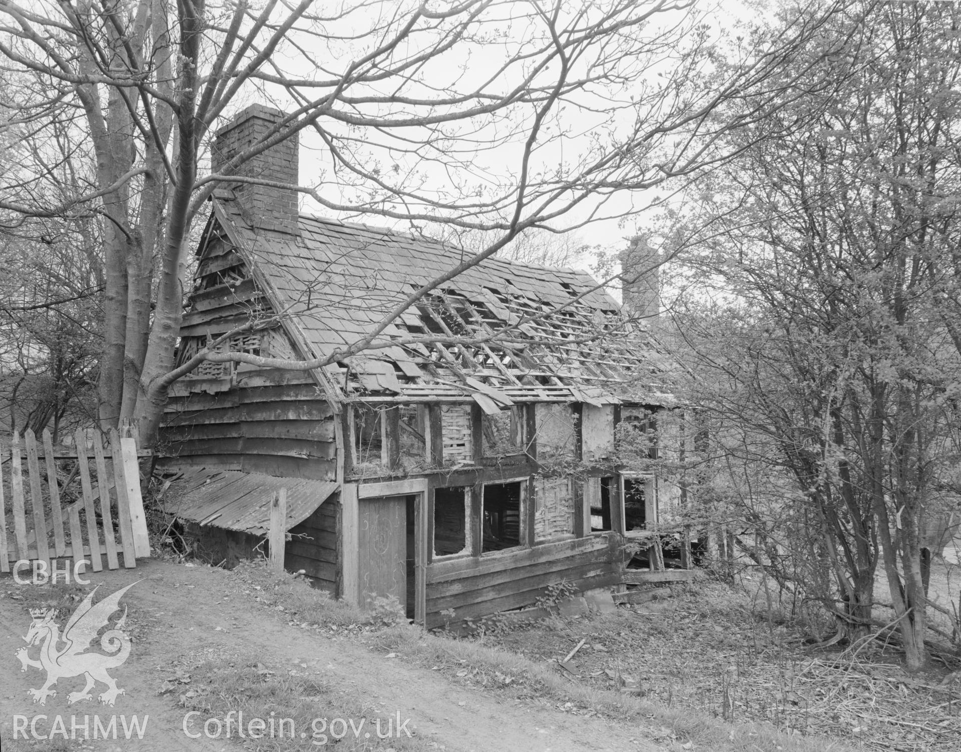 Black and white acetate negative showing an exterior view of Ty Brith.