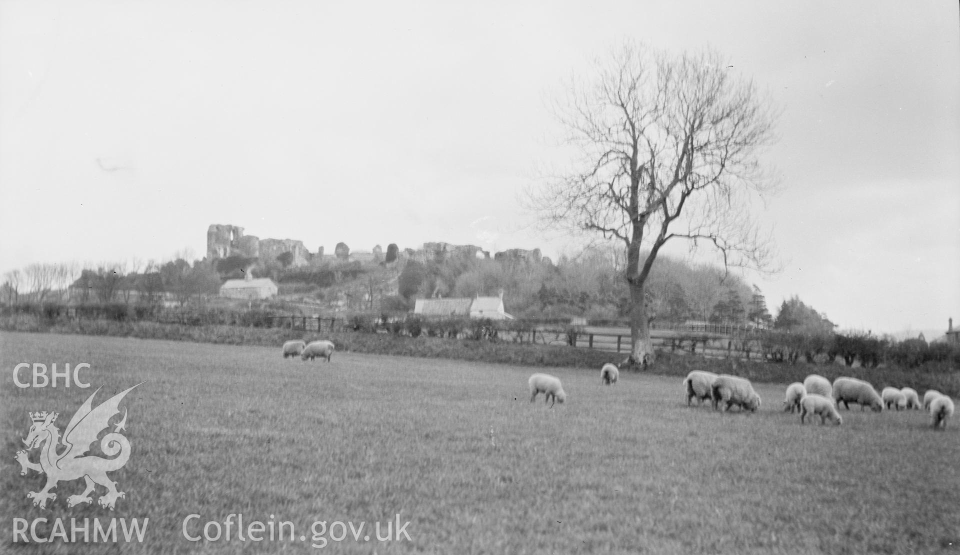 Black and white nitrate negative showing view of Denbigh Castle.