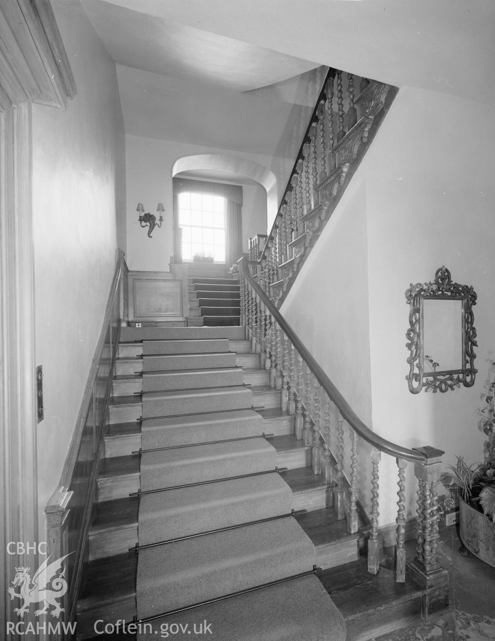Black and white polyester negative showing staircase at Gileston.