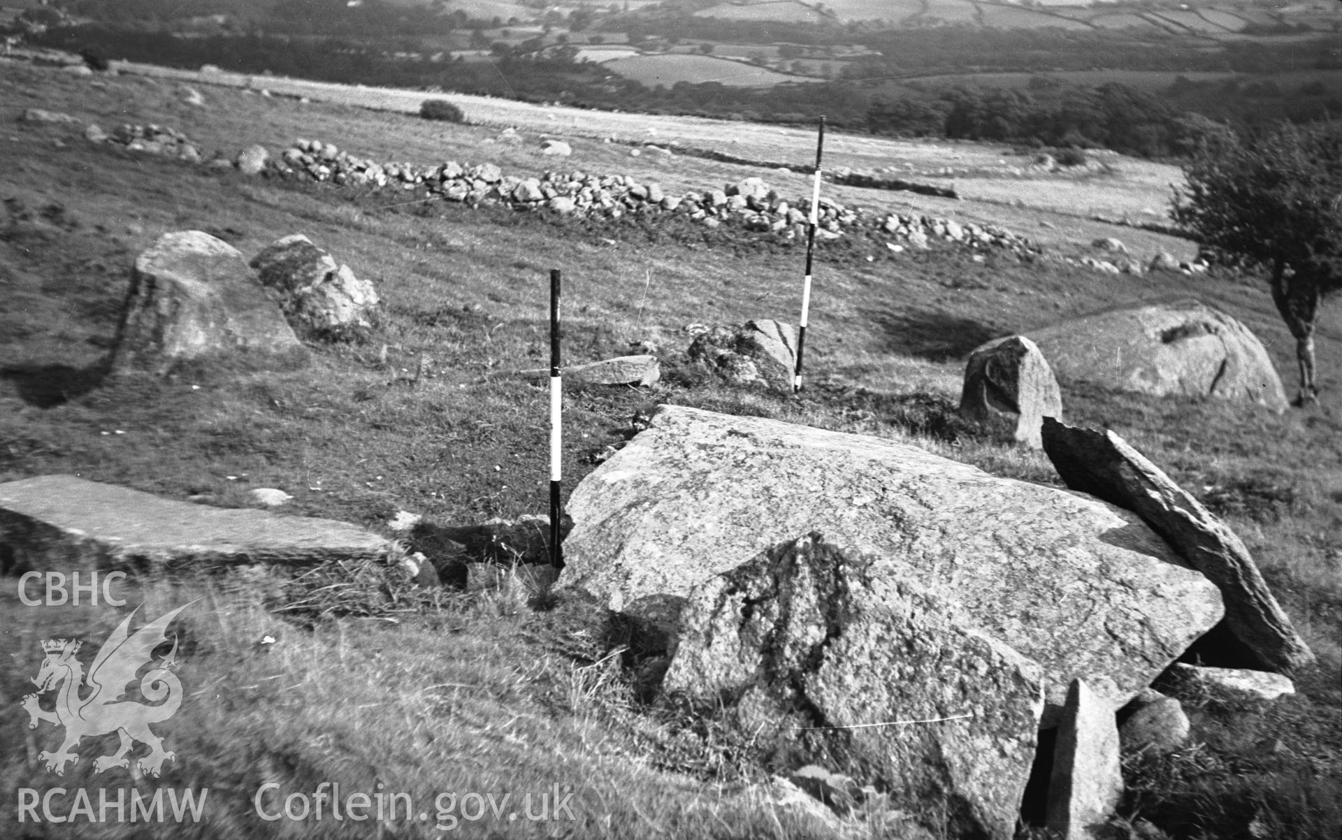 View of cist near Maen y Bardd, Caerhun taken in 30.08.1950 .
