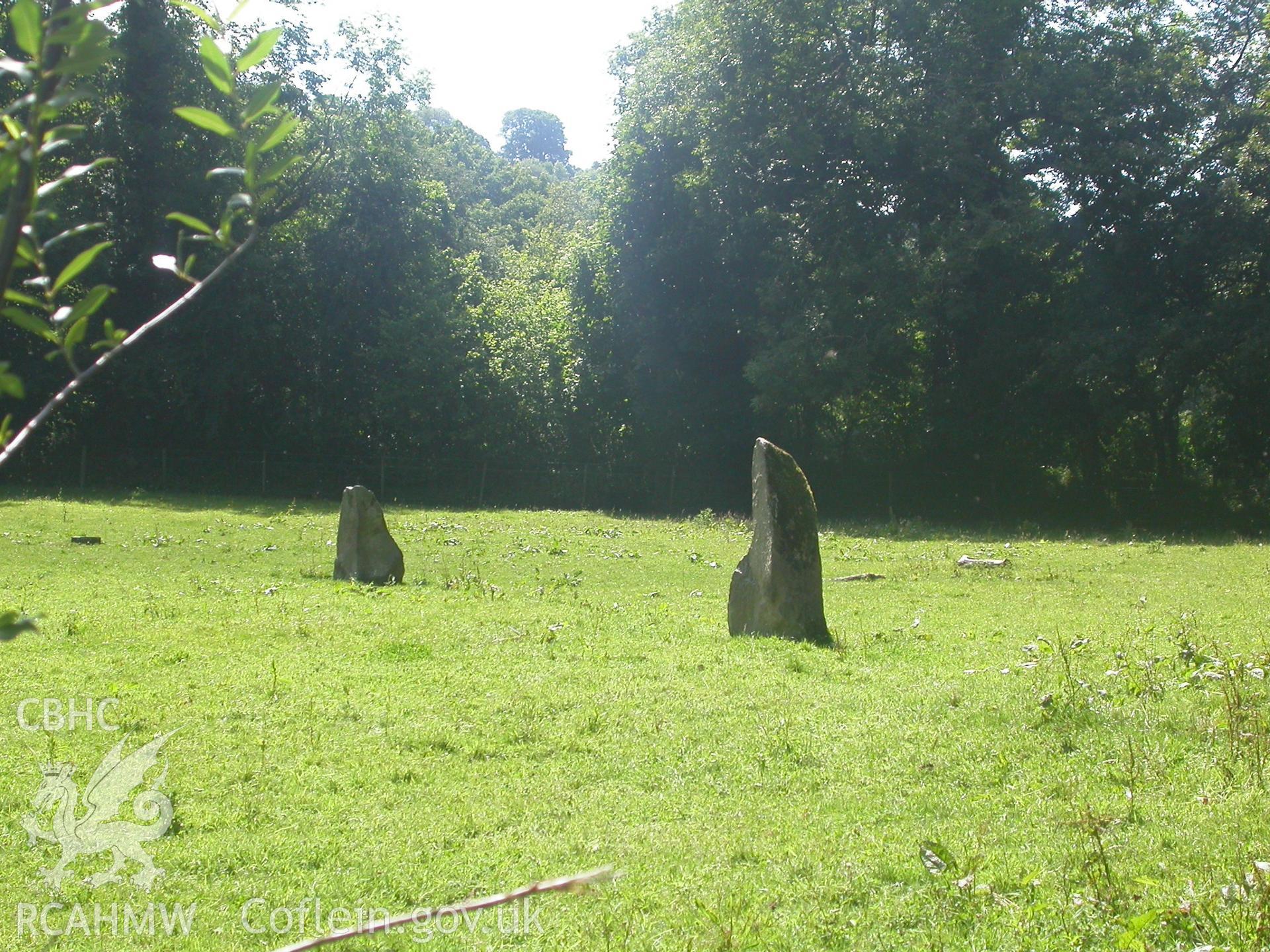 Standing-stones in field to north east of the hillfort viewed from the south-west.