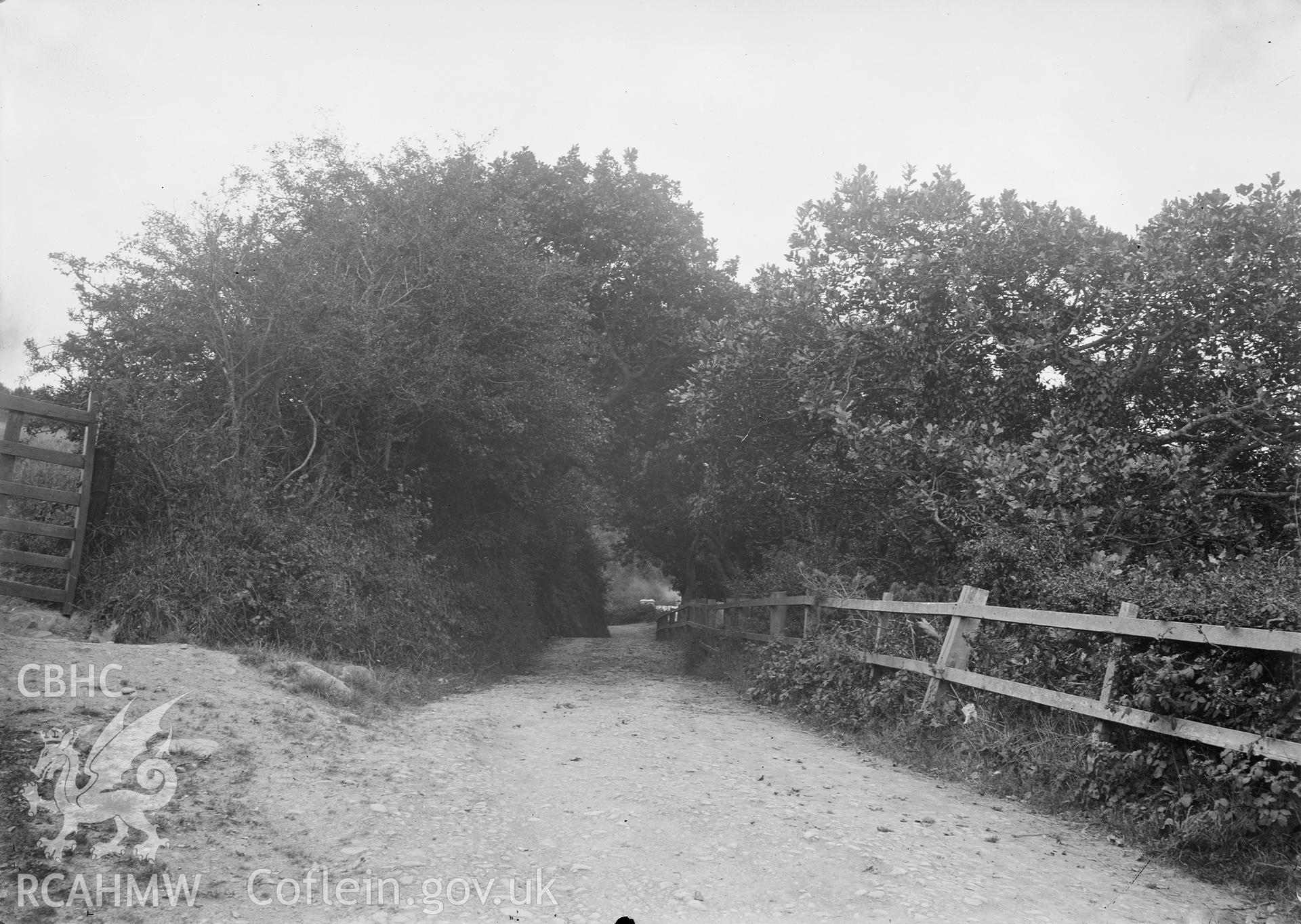Black and white image dating from c.1910 showing Cwm Woods,  taken by Emile T. Evans.
