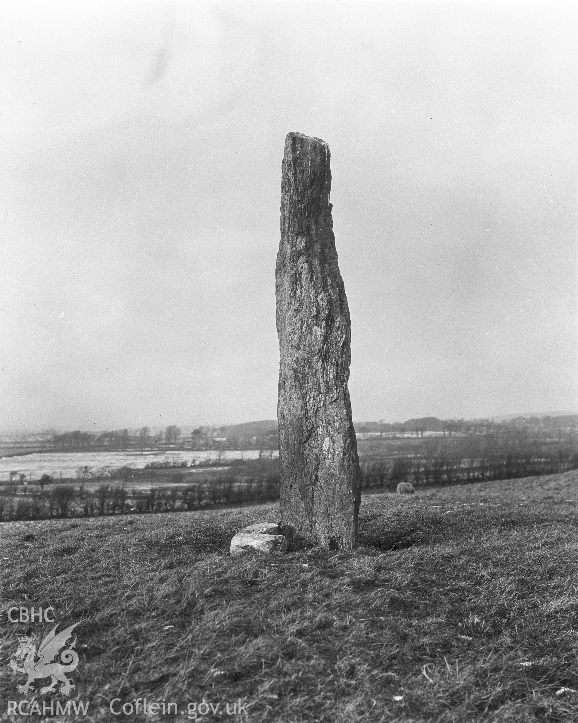 Black and white photgraph showing Plas Cadnant Standing Stone, taken by RCAHMW before 1960.
