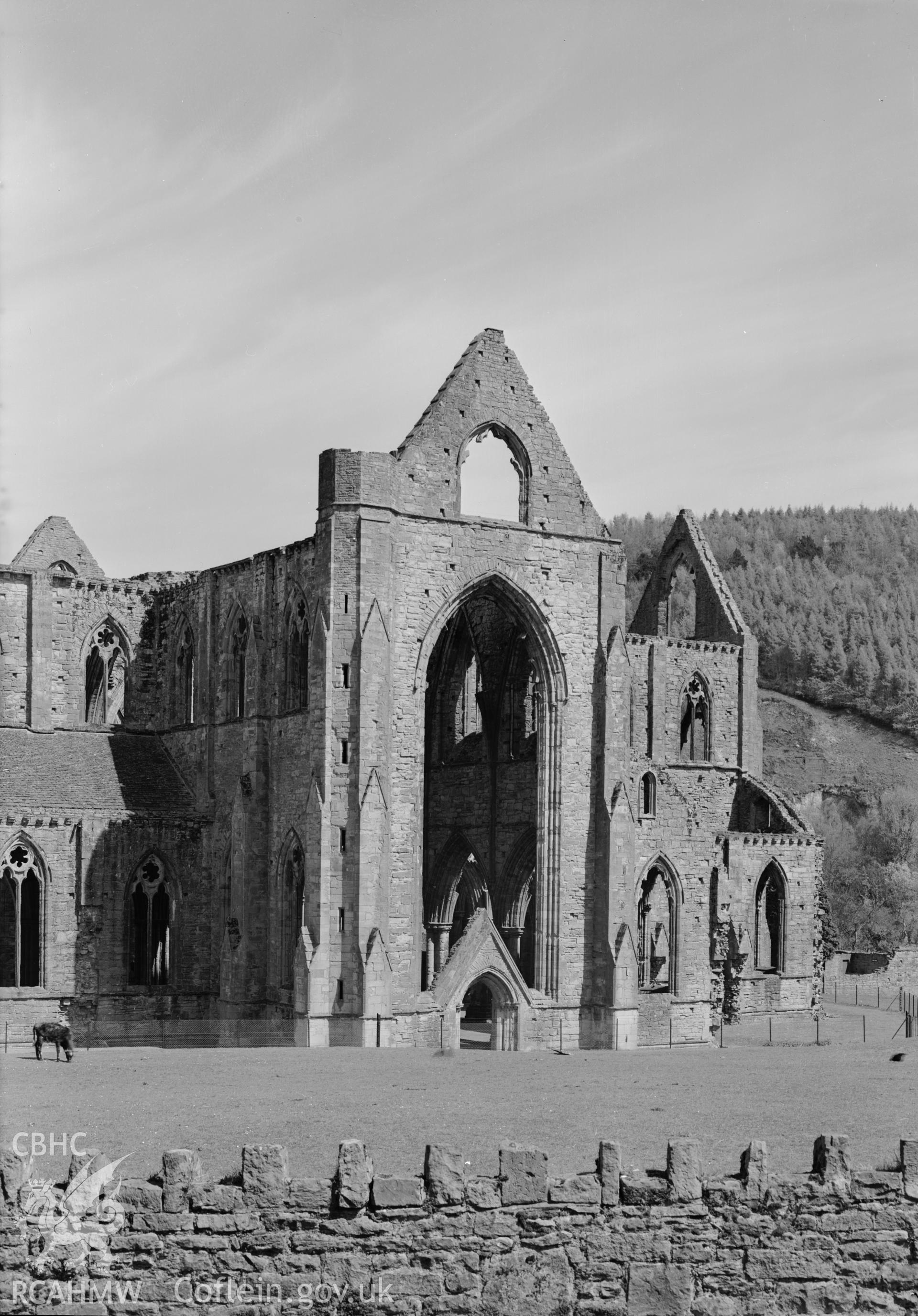 D.O.E. black and white negative of Tintern Abbey: exterior.