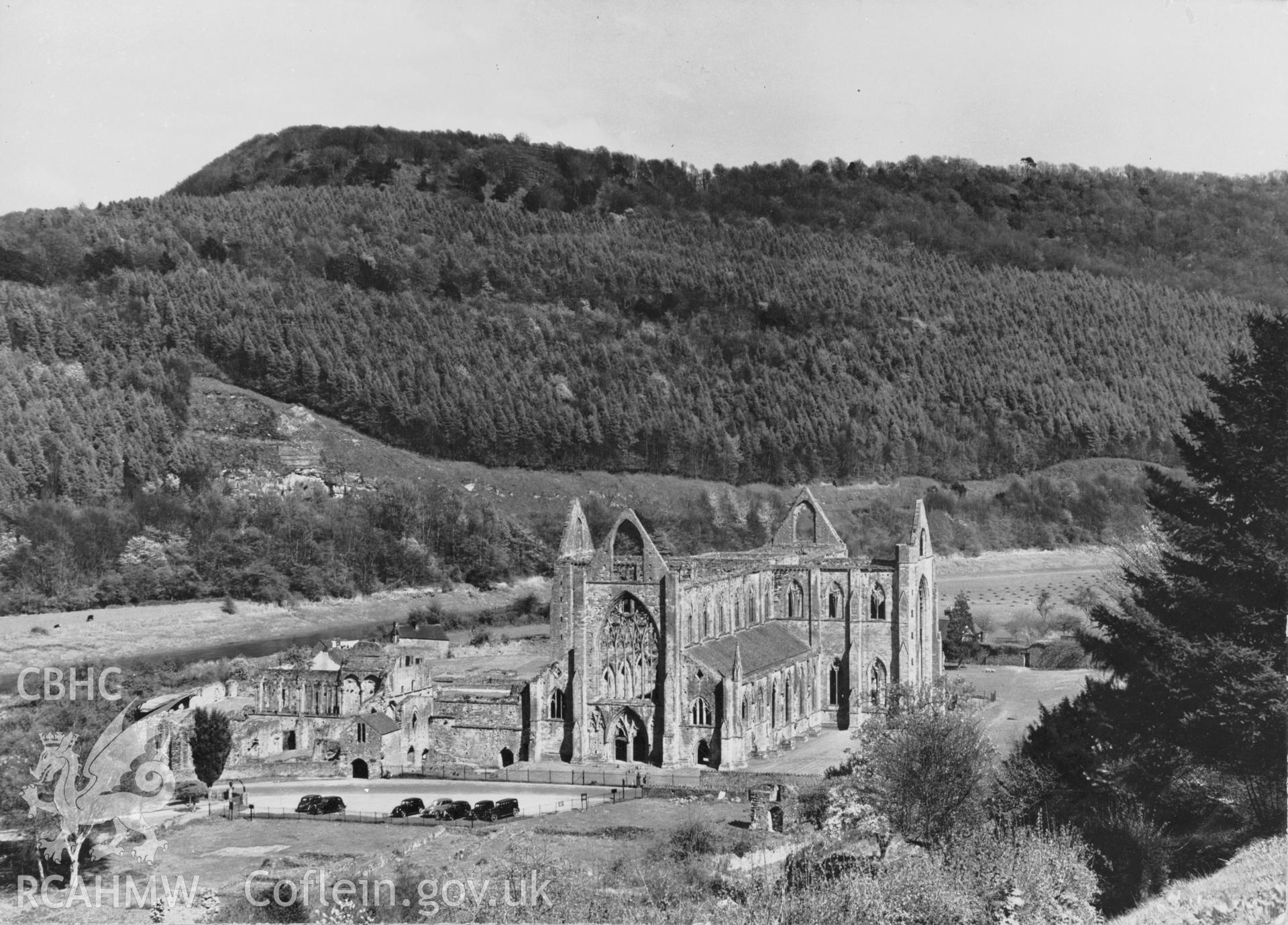 D.O.E. black and white negative of Tintern Abbey: exterior, long shot.