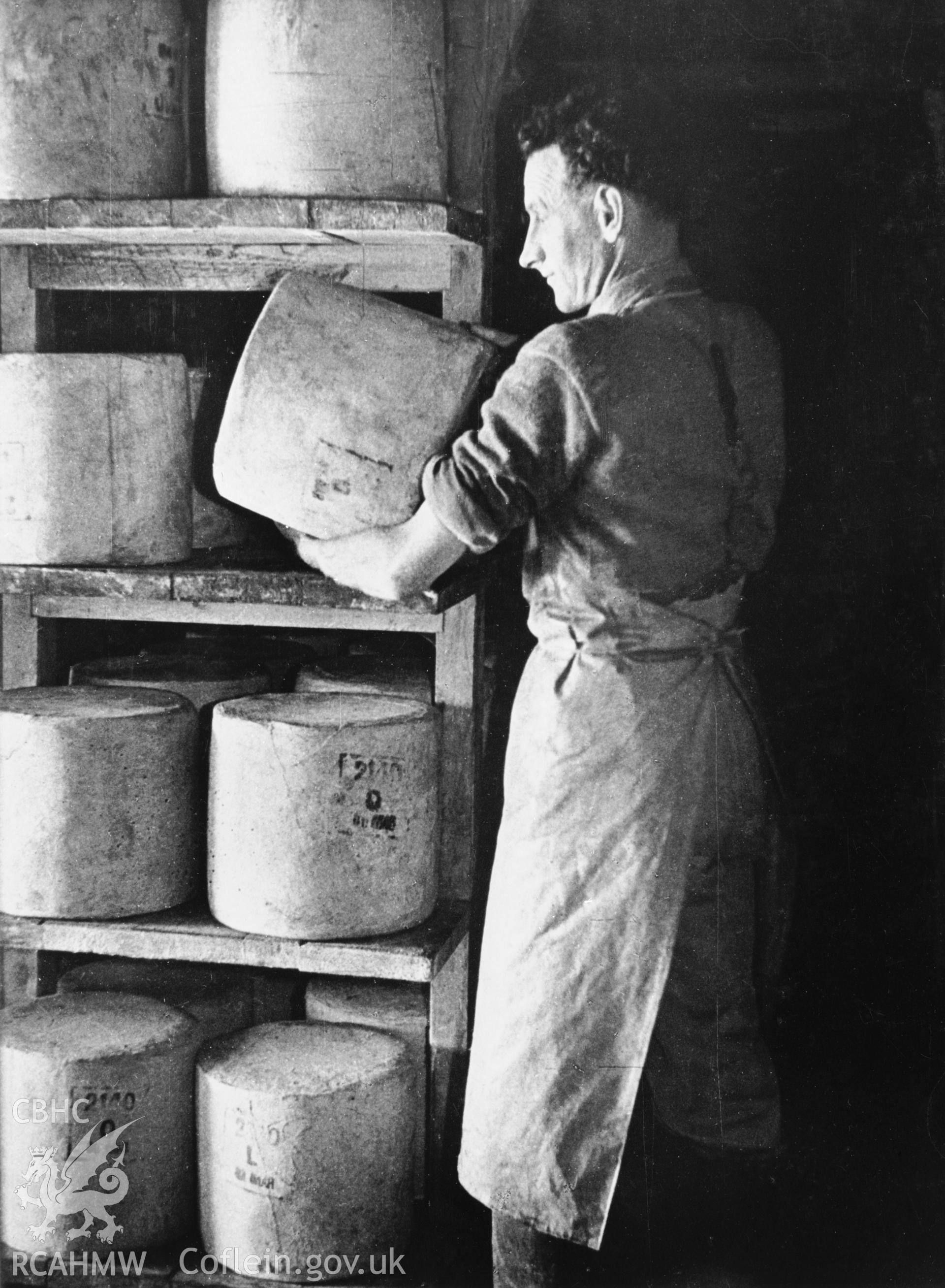 Copy of a pre-1950 photo showing turning of the cheeses