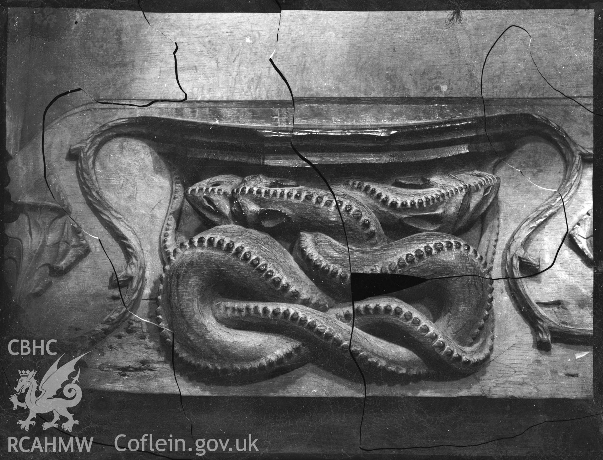 Black and white photo showing carved relief featuring entwined snake, in St Davids Cathedral.