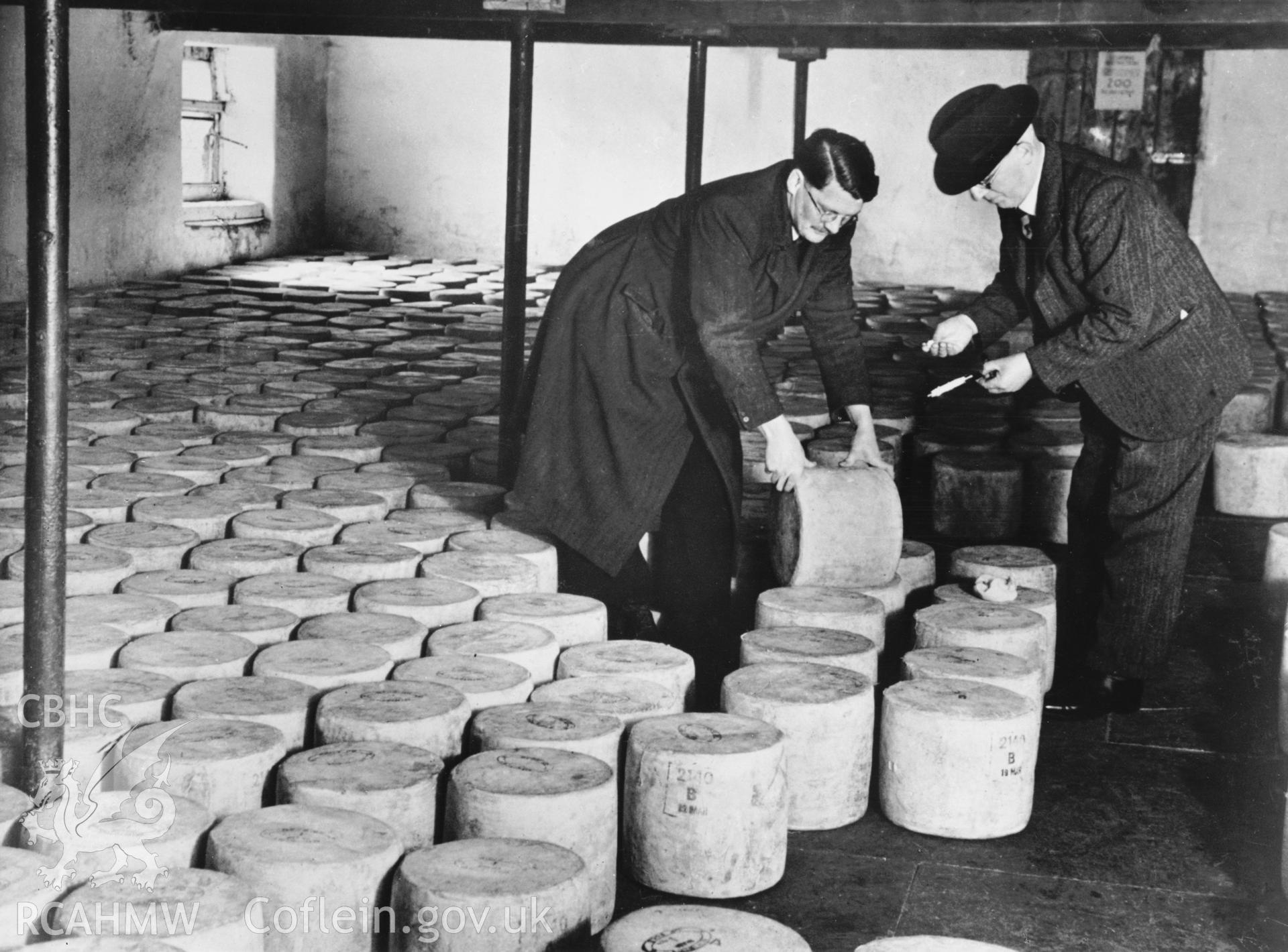 Copy of a pre-1950 photo showing grading to the finished cheeses