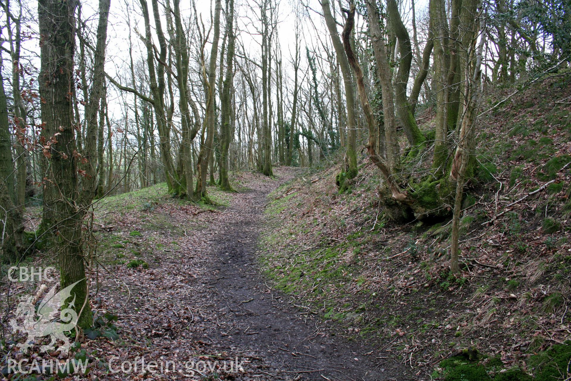 Gaer Fawr Hillfort.  Approach corridor up to the west gateway, from the south.