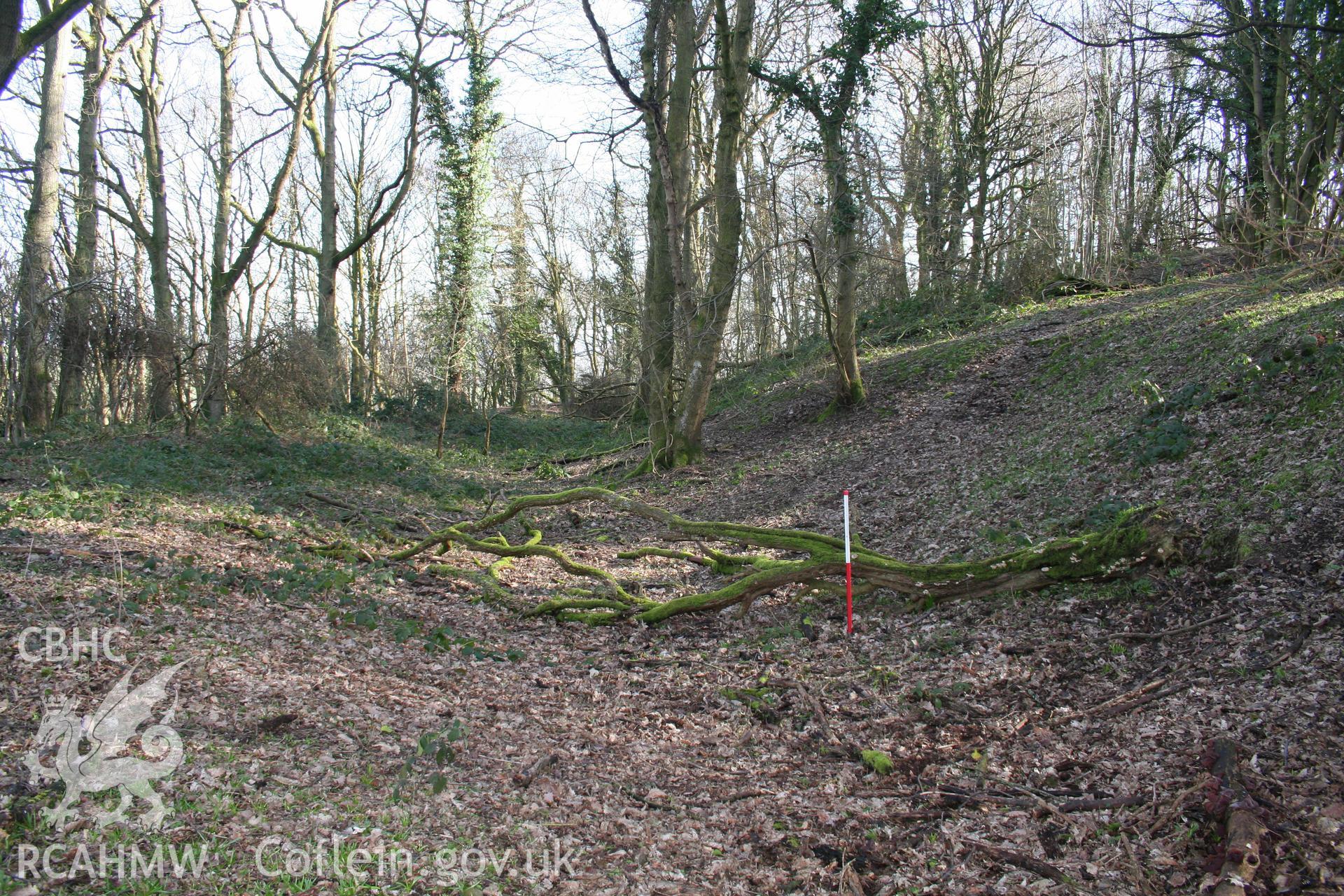 Gaer Fawr Hillfort.  Outer rampart ditch of the original summit fort, from the south (with scale).
