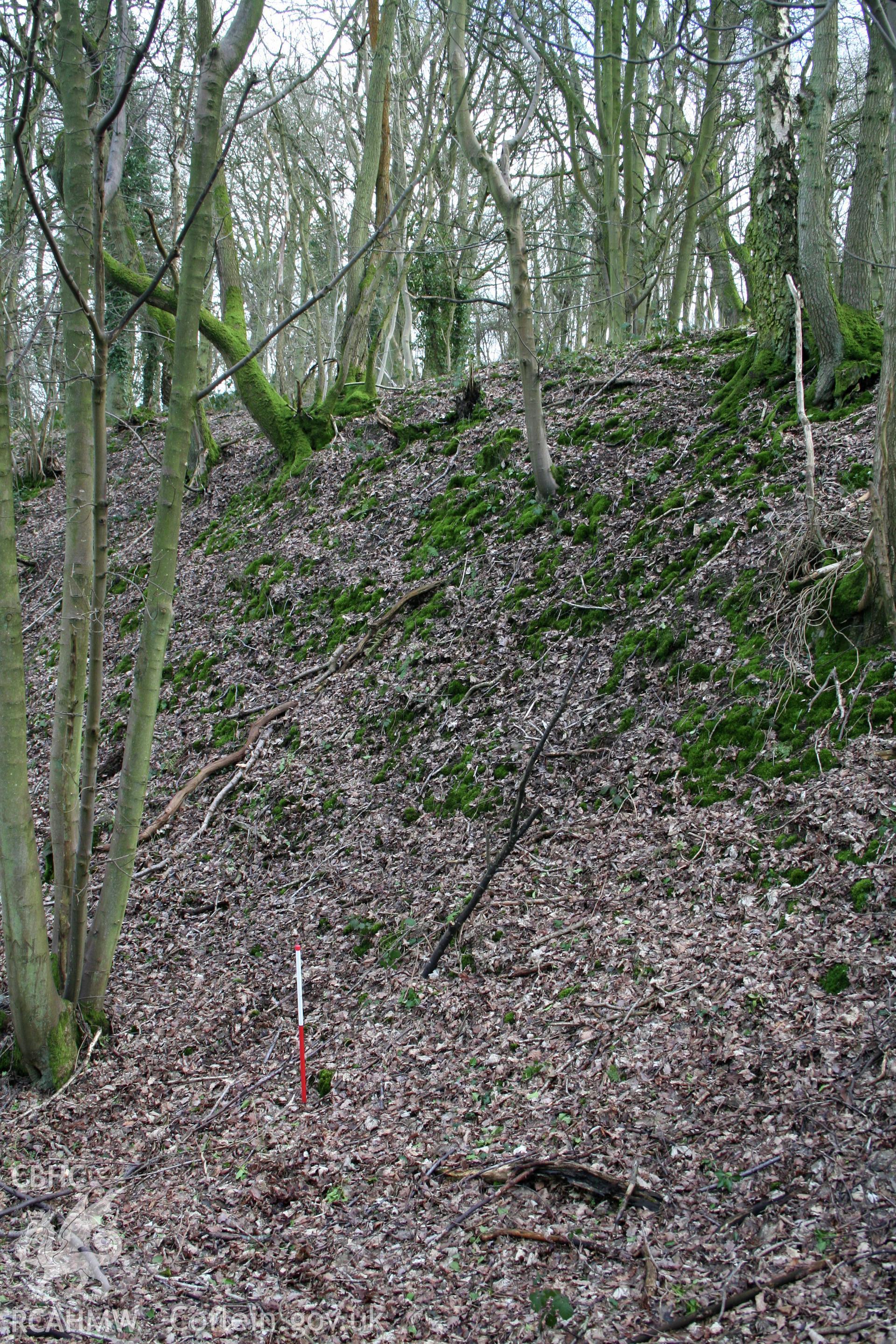 Gaer Fawr Hillfort.  Rampart on west side of fort, from the southeast (with scale).