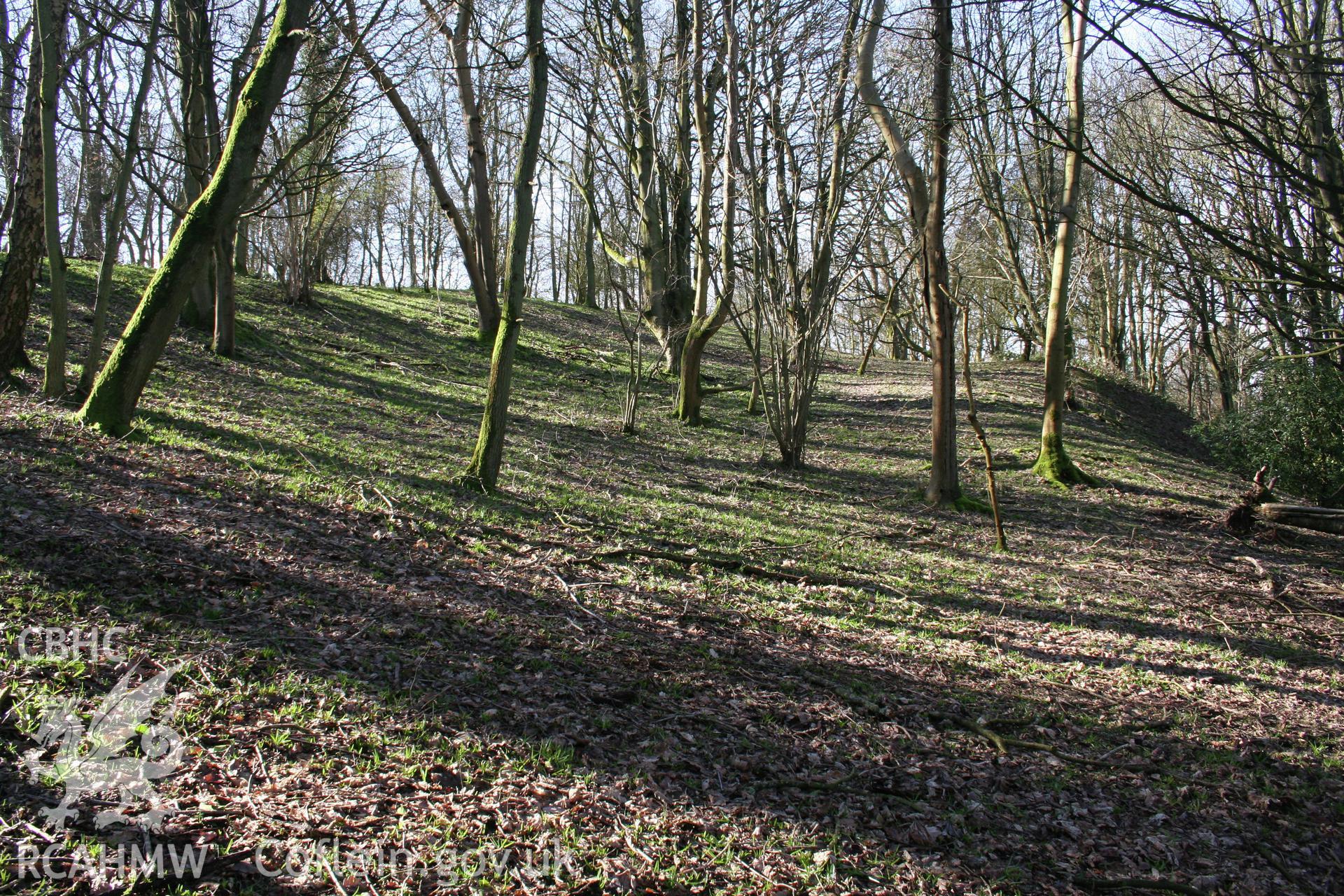 Gaer Fawr Hillfort.  Inner western rampart of the original summit fort, from the north.