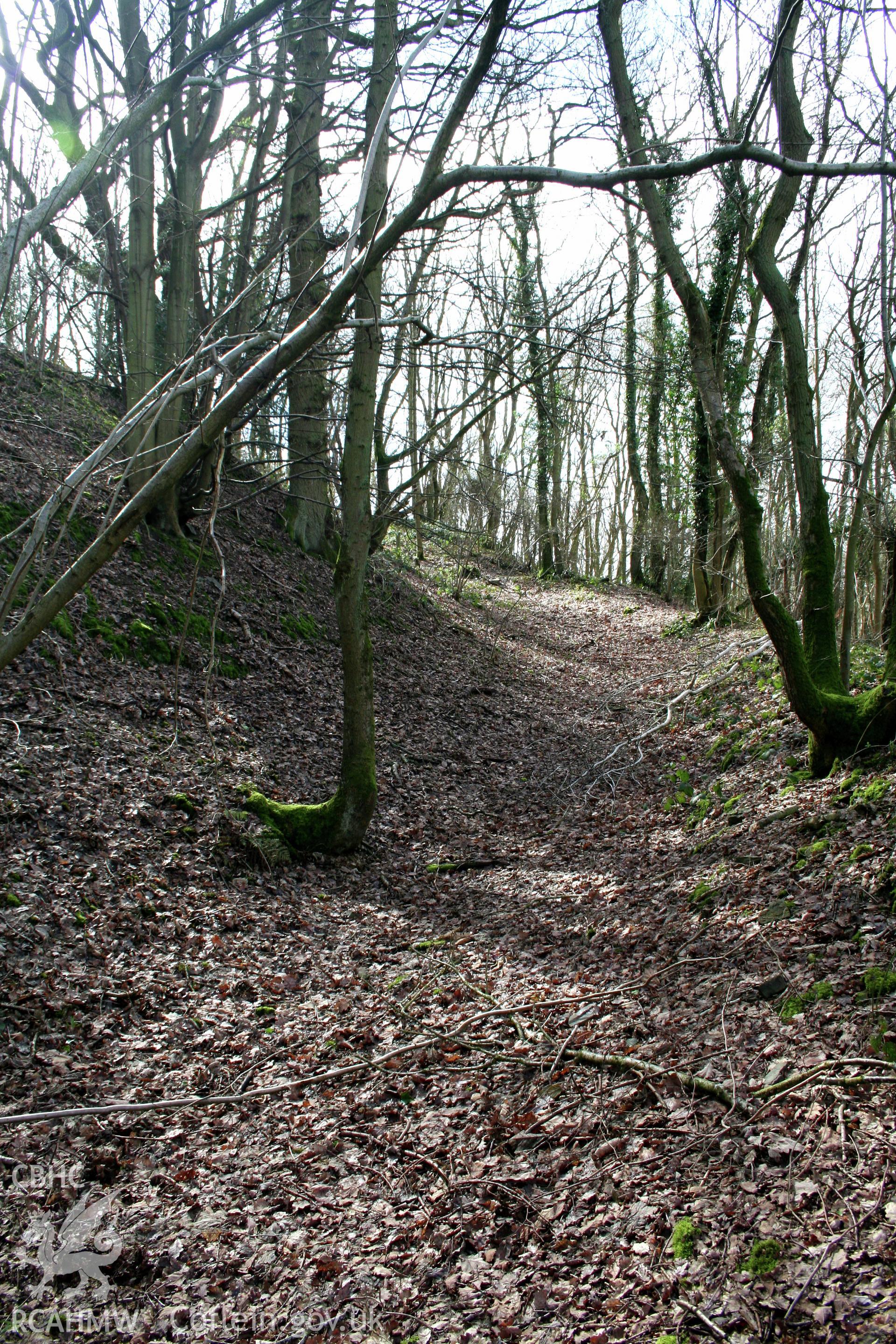 Gaer Fawr Hillfort. Looking south along the ditch of the western ramparts towards the west entrance.