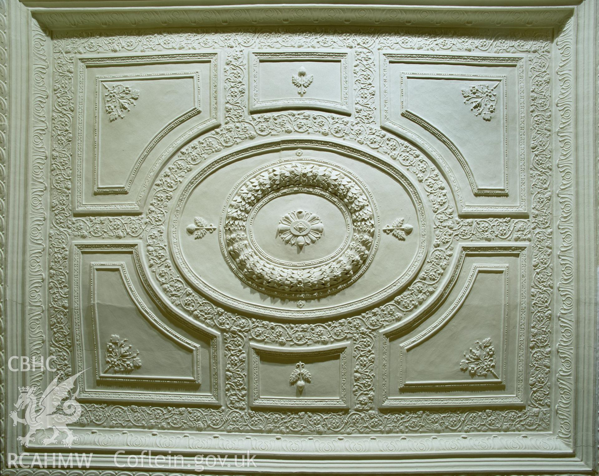Colour transparency showing view of decorated ceiling at Newton House, Dinefwr, produced by Iain Wright, June 2004.