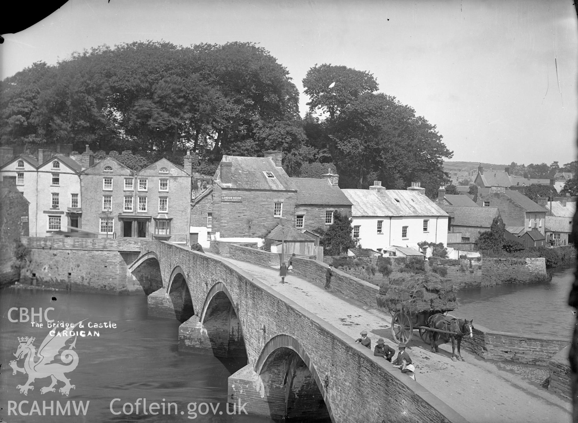 Black and white glass negative showing "The Bridge and Castle, Cardigan"
