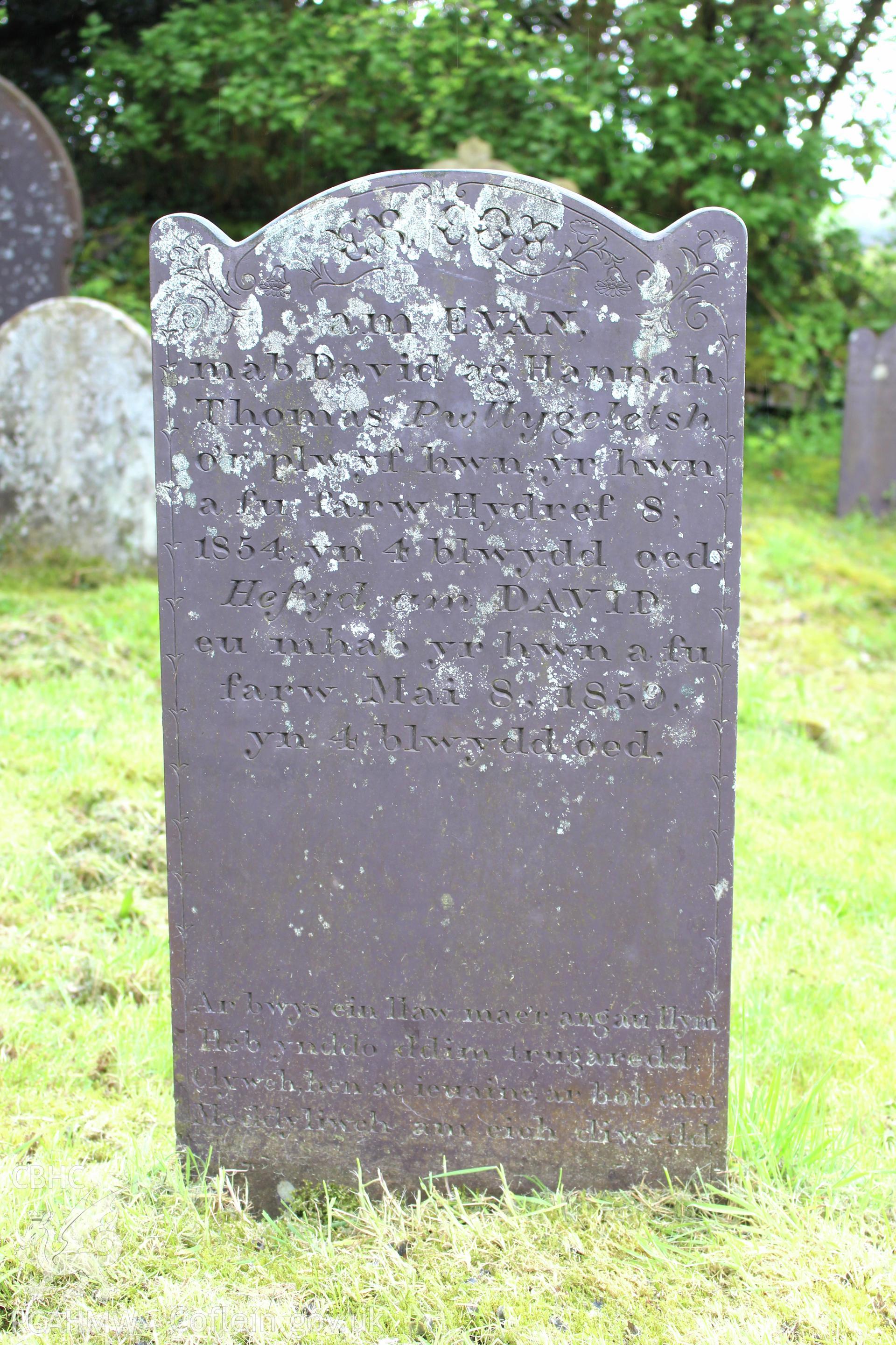 Gravestone of Evan & David Thomas