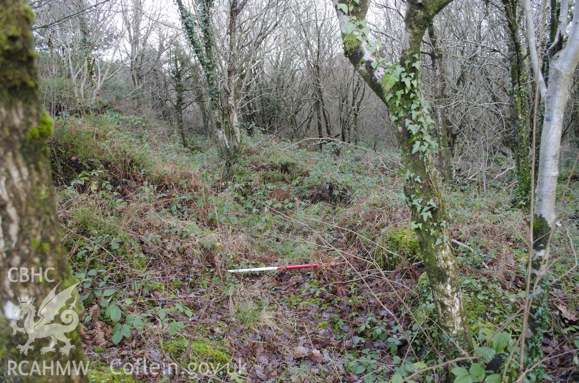 View from the north-west showing dry course of mill stream to the SE of the mill, taken by Jessica Davidson, Gwynedd Archaeological Trust, 8th Jan 2016.