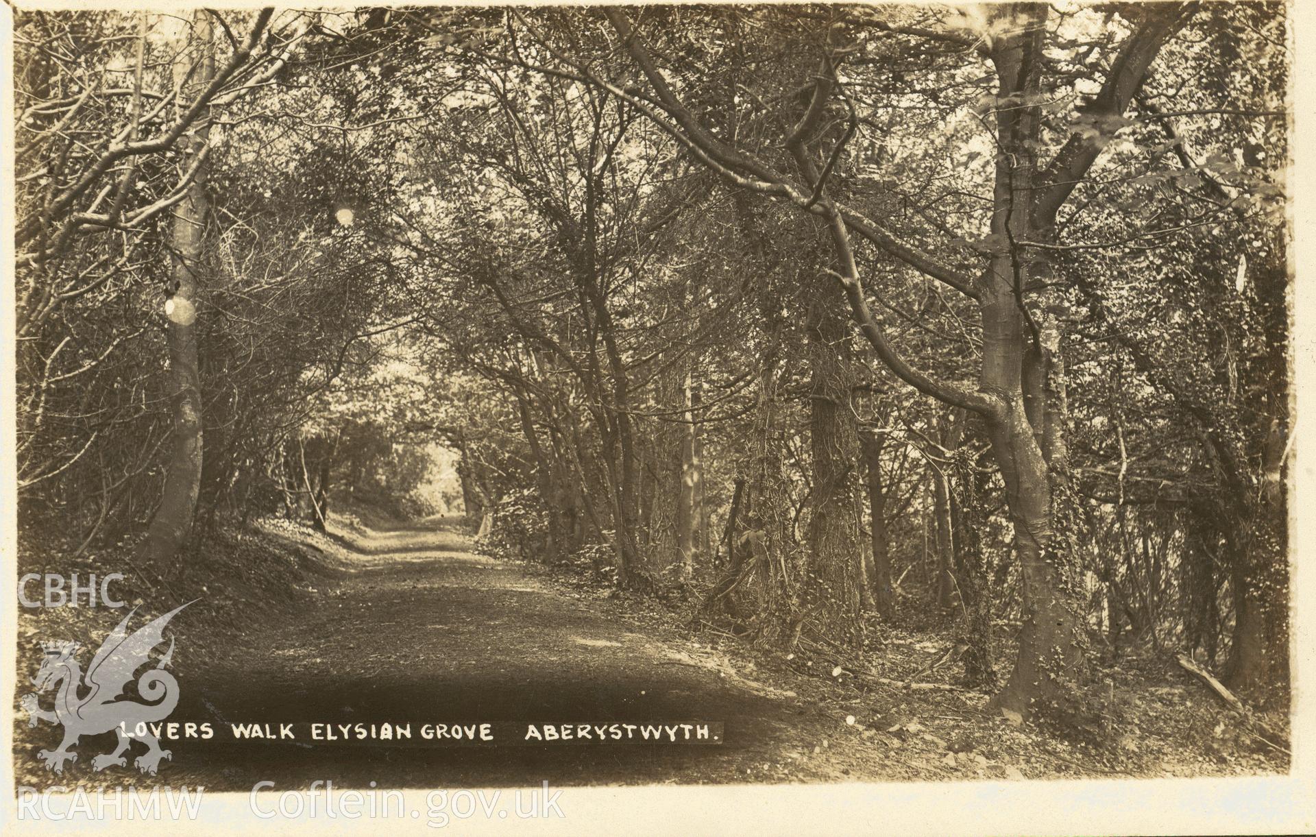 Digitised postcard image of Lovers Walk, Elysian Grove, Aberystwyth. Produced by Parks and Gardens Data Services, from an original item in the Peter Davis Collection at Parks and Gardens UK. We hold only web-resolution images of this collection, suitable for viewing on screen and for research purposes only. We do not hold the original images, or publication quality scans.