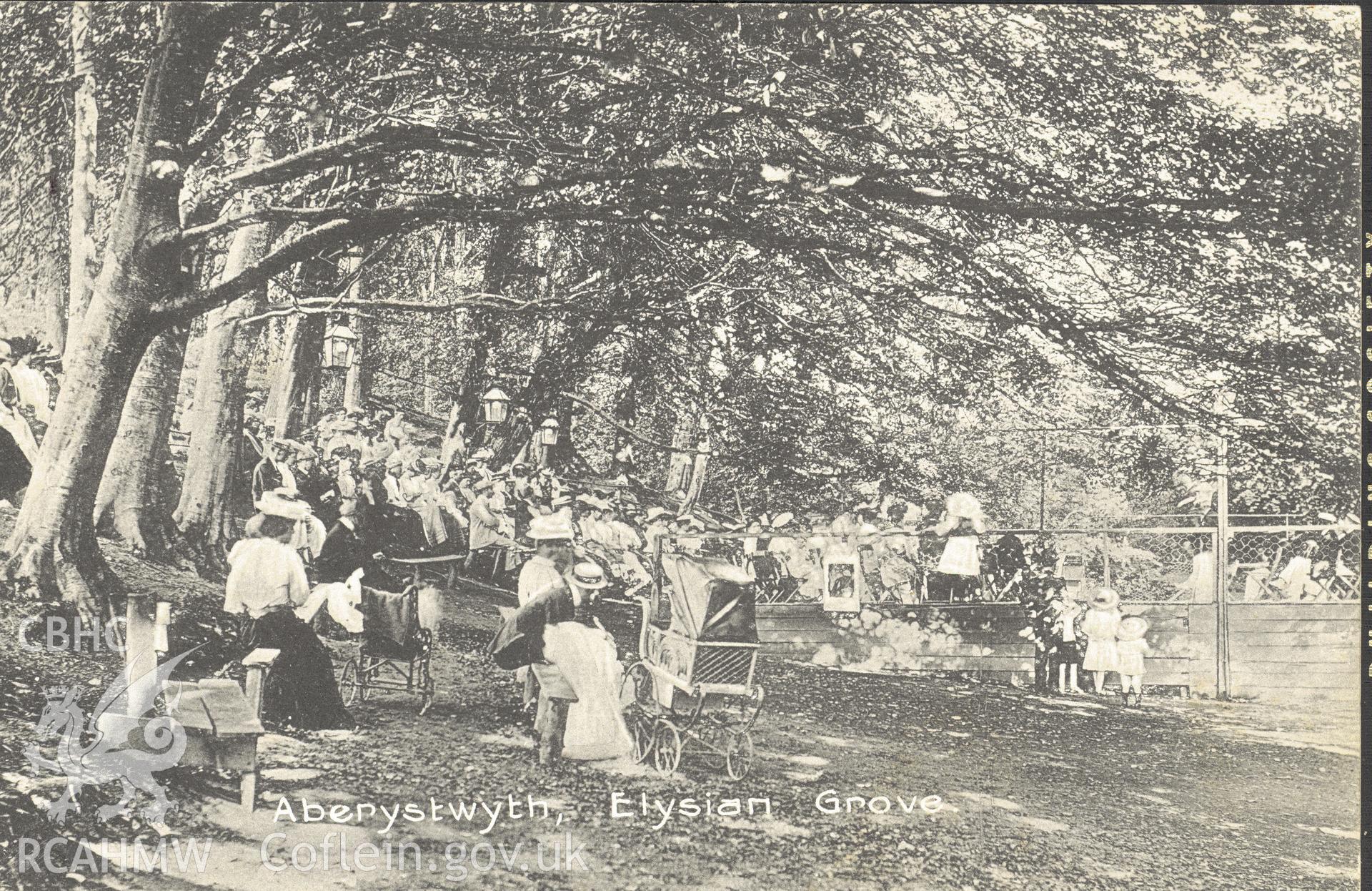 Digitised postcard image of the Elysian Grove, Aberystwyth, Frank Phillips Series, Aberystwyth. Produced by Parks and Gardens Data Services, from an original item in the Peter Davis Collection at Parks and Gardens UK. We hold only web-resolution images of this collection, suitable for viewing on screen and for research purposes only. We do not hold the original images, or publication quality scans.