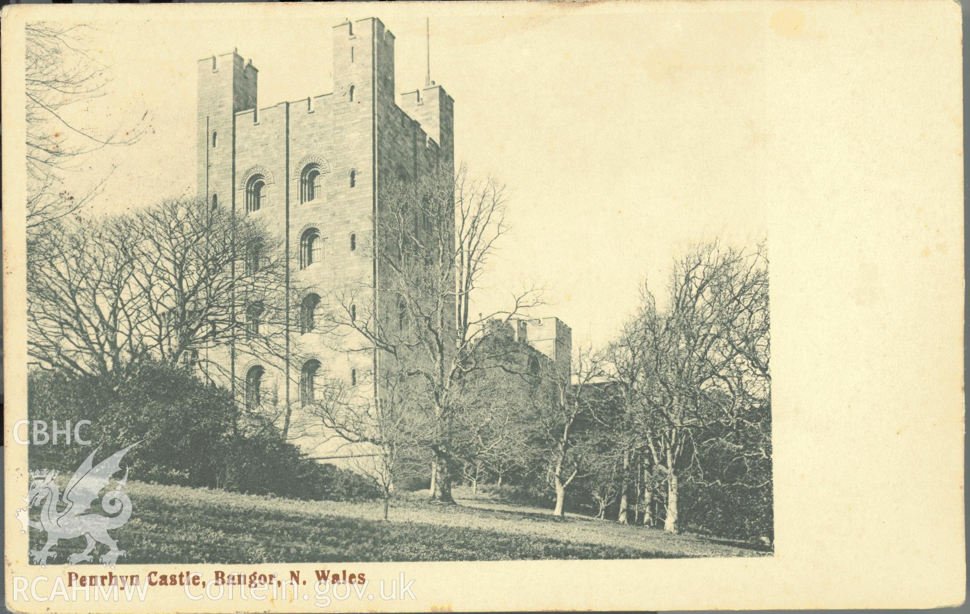 Digitised postcard image of Penrhyn Castle, Bangor, Wickens, Bangor. Produced by Parks and Gardens Data Services, from an original item in the Peter Davis Collection at Parks and Gardens UK. We hold only web-resolution images of this collection, suitable for viewing on screen and for research purposes only. We do not hold the original images, or publication quality scans.