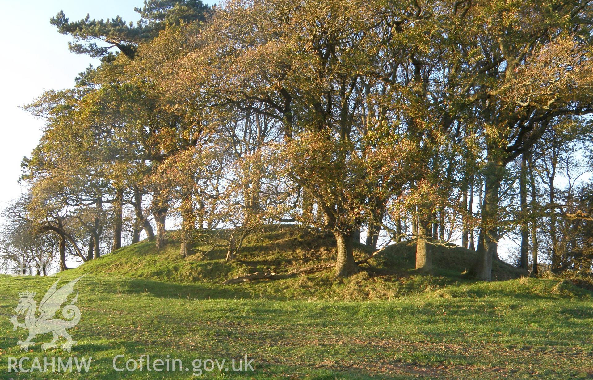 Colour photo of Ystradowen Mound, taken by Paul R. Davis, 8th November 2009.