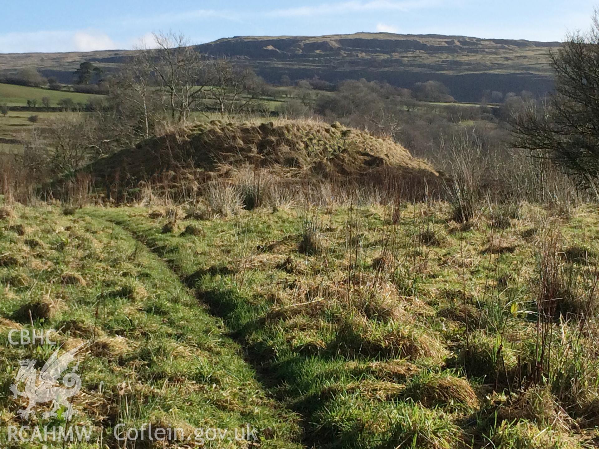 Colour photo showing mound at Cae Burdydd, produced by  Paul R. Davis,  4th February 2017.