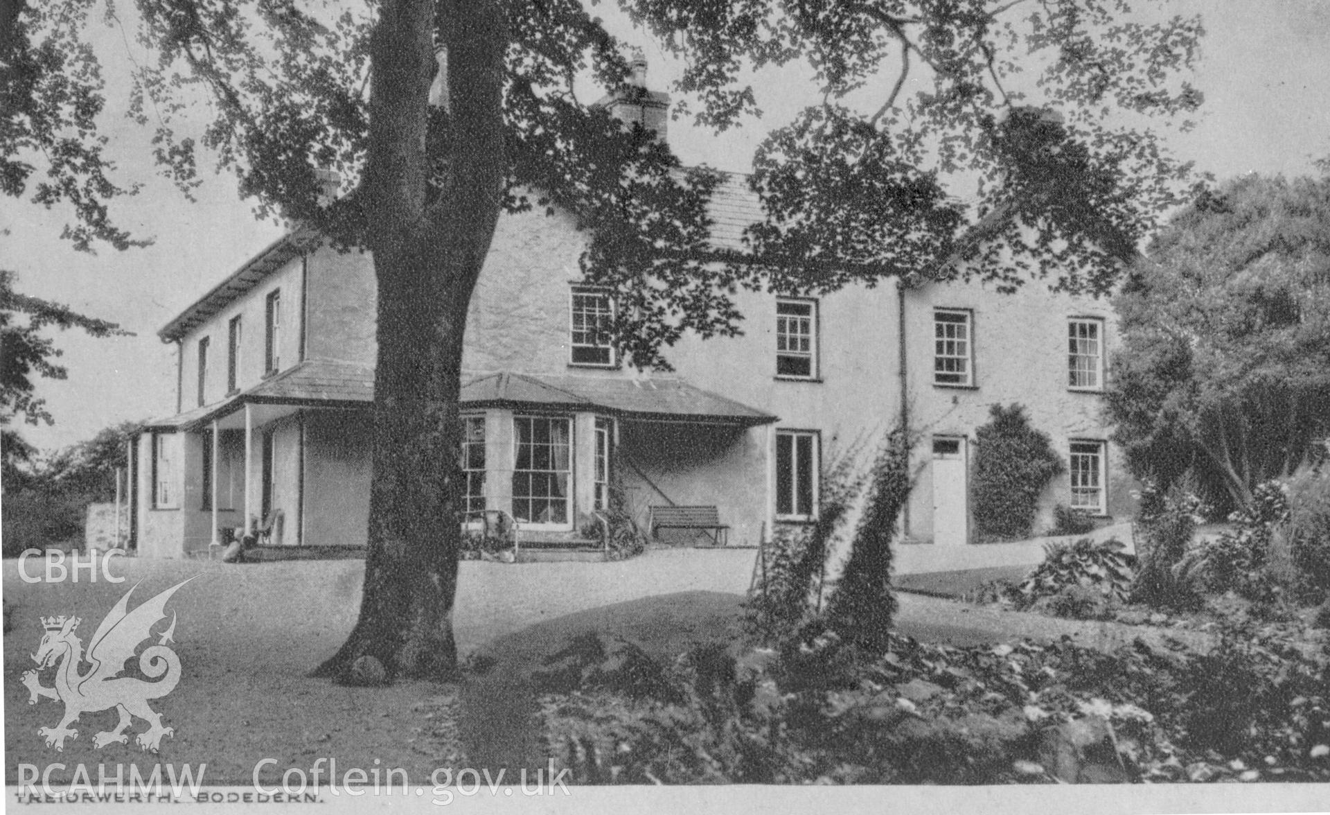Treiorwerth, Bodedern; b&w photograph copied from an undated postcard published by O. Williams & Co, loaned for copying by Thomas Lloyd.