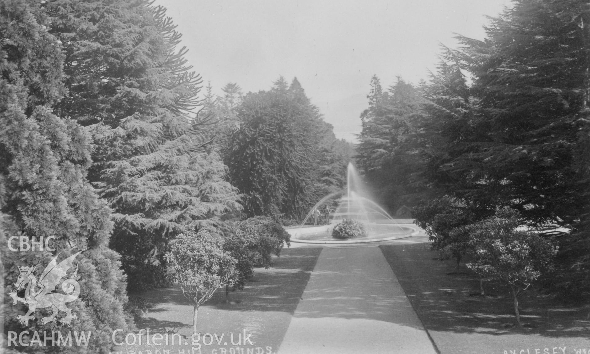 Black and white print of Baron Hill gardens, copied from a postcard lent by Thomas Lloyd. Negative held.