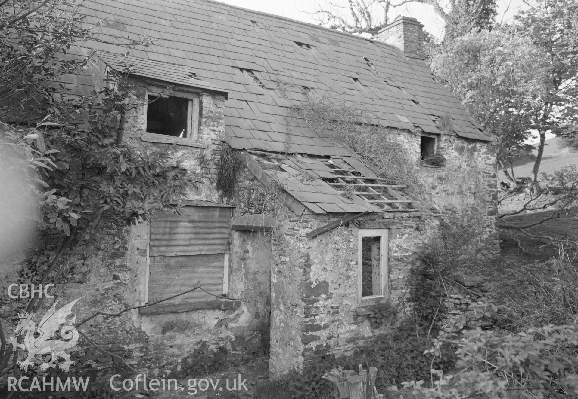 Digital copy of a black and white negative showing Ty'n y Waun, Bettws.