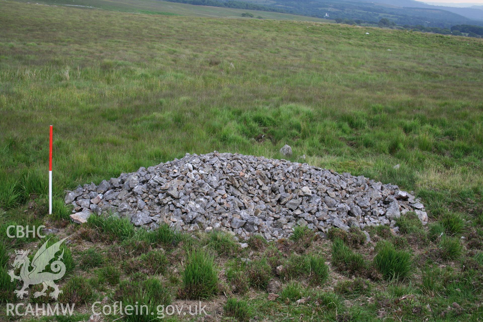 Close-up view of clearance cairn within abandoned smallholding; 1m scale.