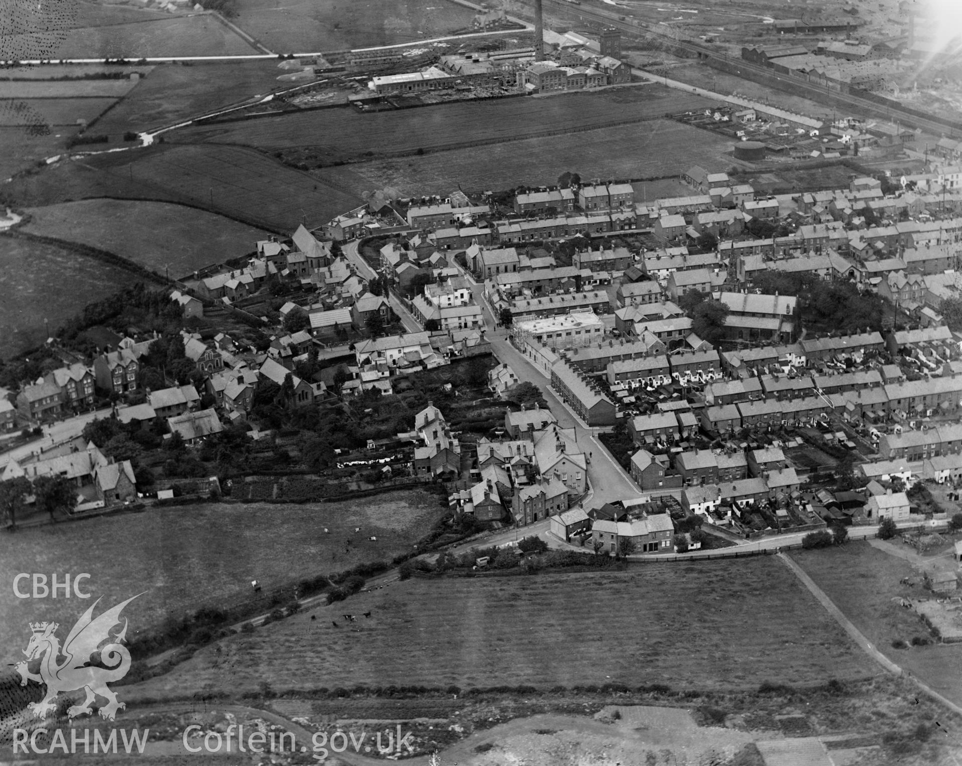 View of Flint, oblique aerial view. 5?x4? black and white glass plate negative.