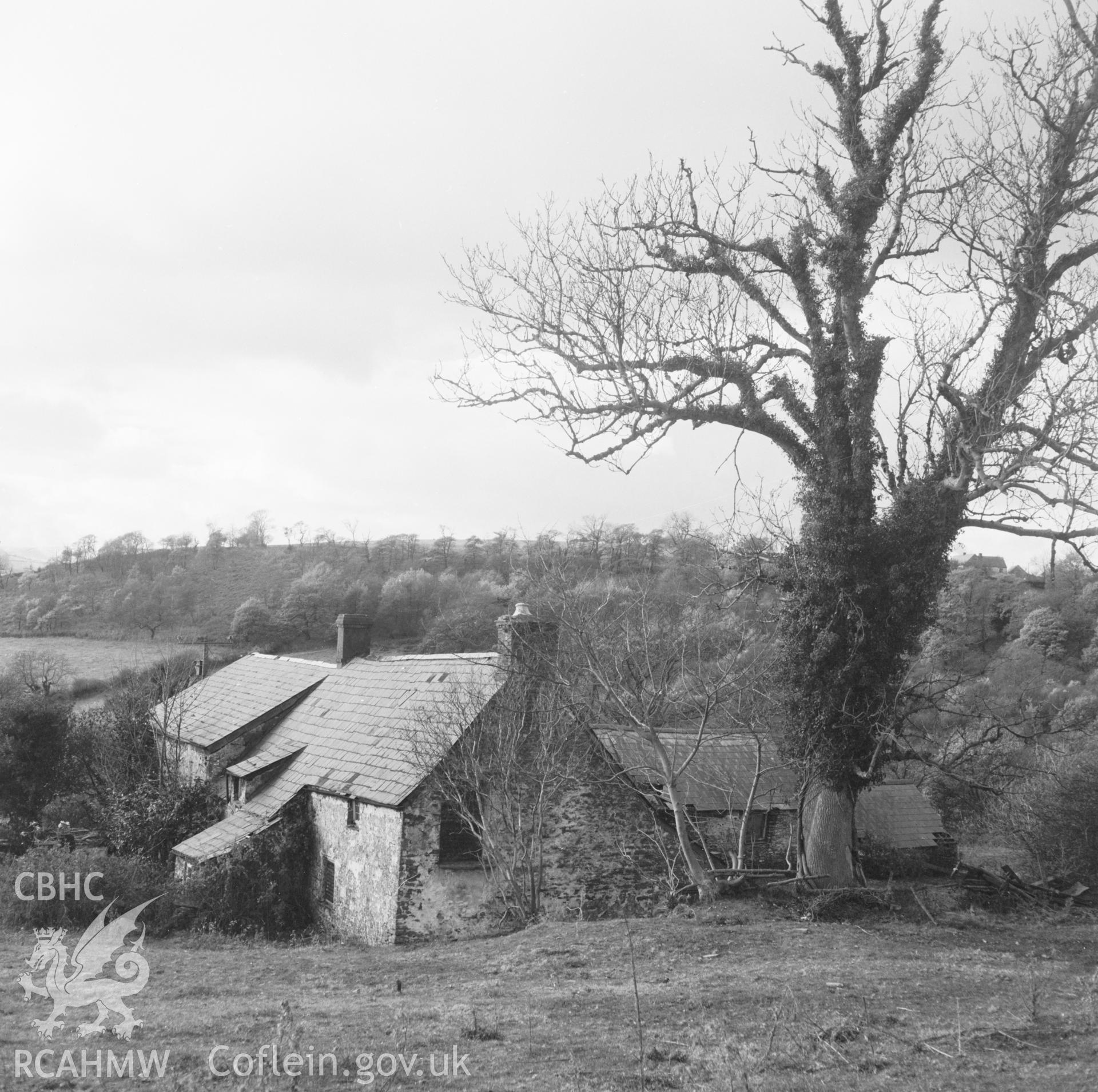 Digital copy of a black and white negative showing Ty'n y Waun, Bettws, taken 17th November 1966.