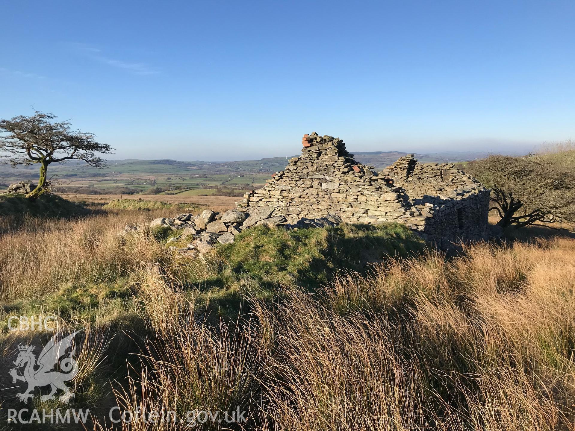 Detailed view of the remains of Tynewydd cottage's drystone walls, south west of Bryneithinog farm, Ystrad Fflur. Colour photograph taken by Paul R. Davis on 18th November 2018.