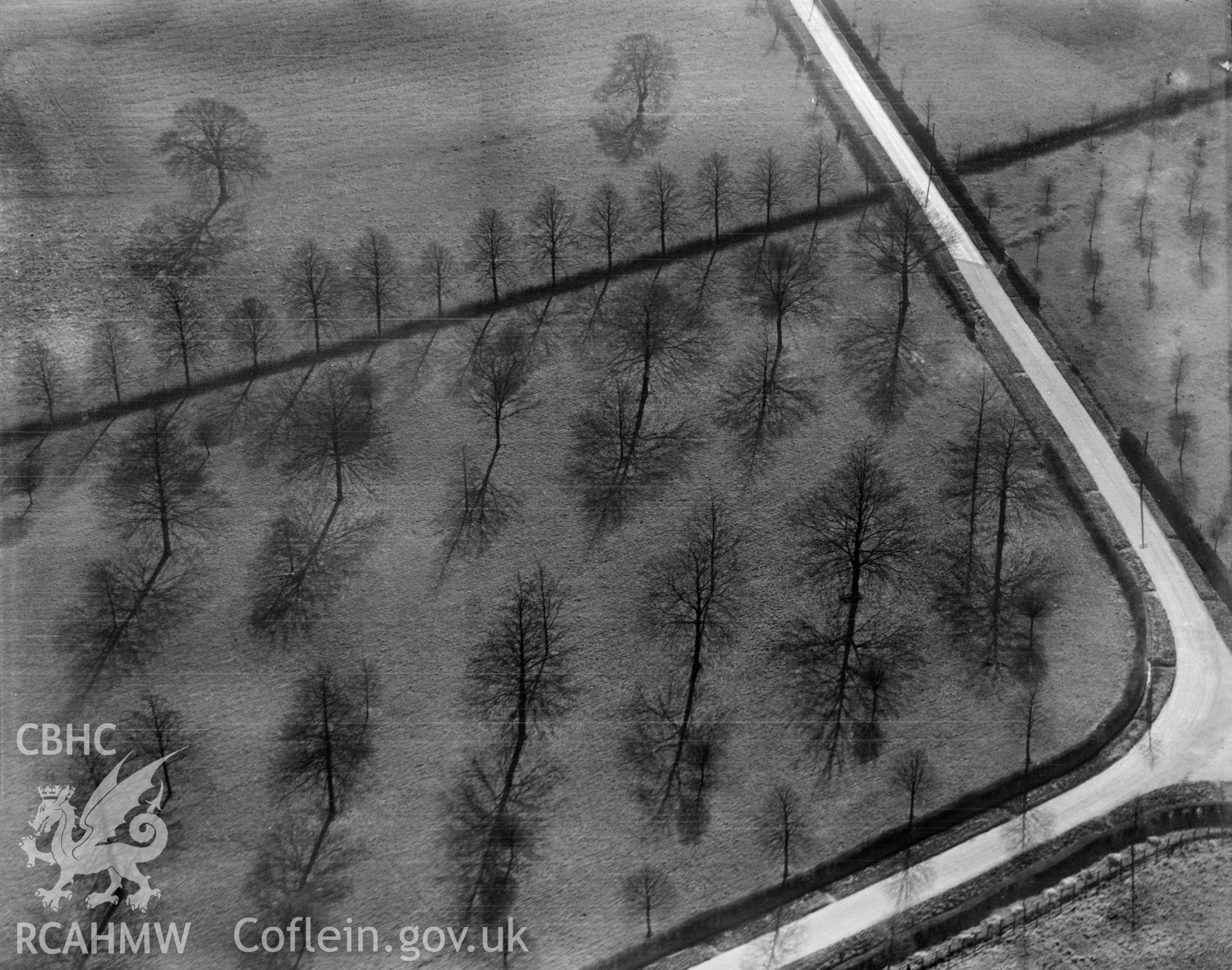 Unidentified site, oblique aerial view. 5?x4? black and white glass plate negative.