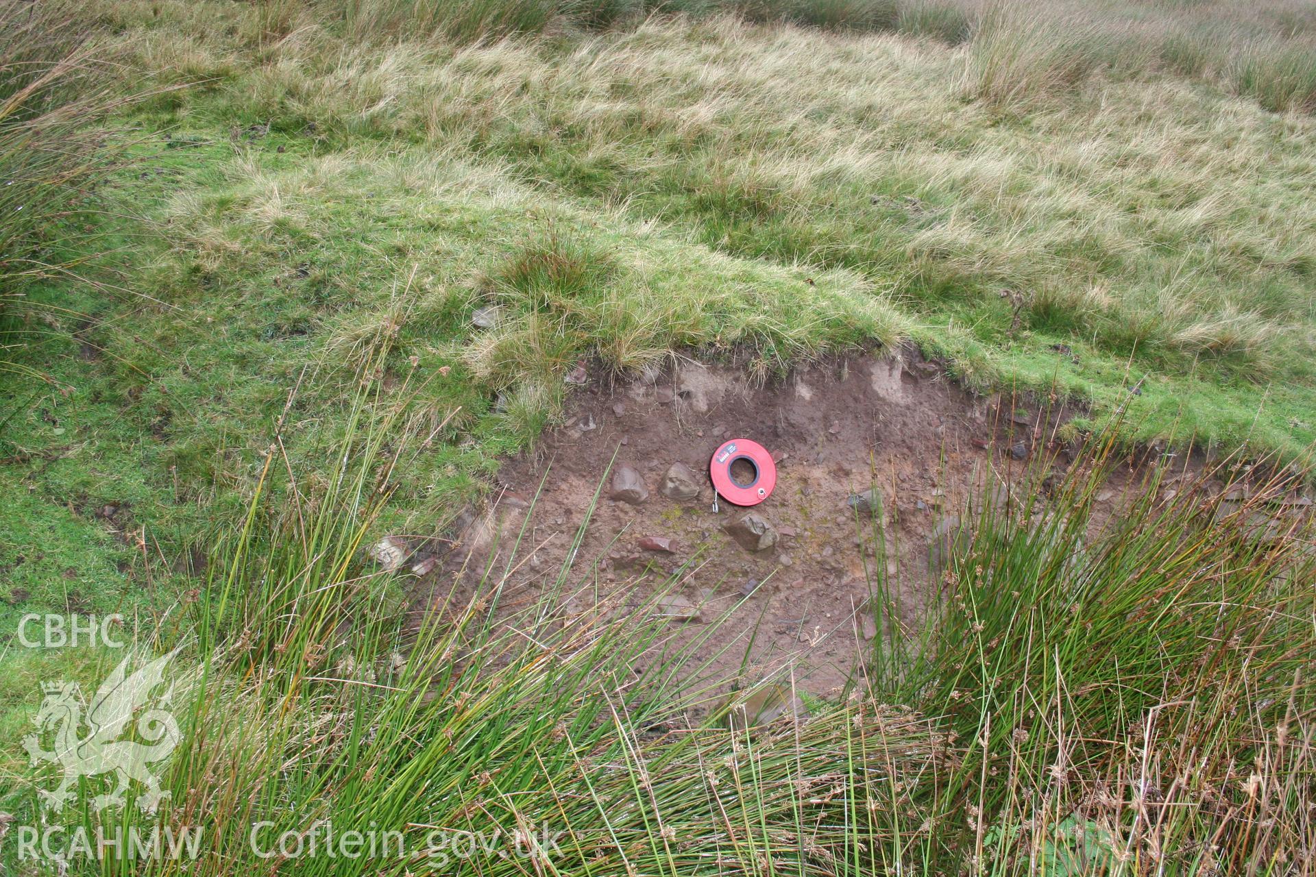 Structure of enclosure bank seen at a point where it has been cut through.