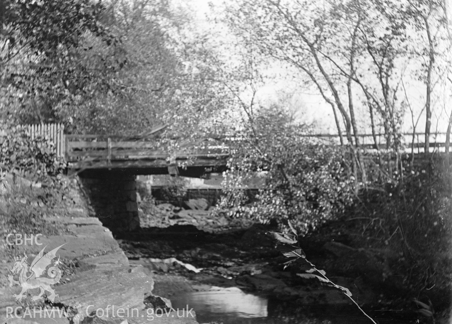 Digital copy of a glass plate showing view of bridge in the Fairy Glen at Trefriw, taken by Manchester-based amateur photographer A. Rothwell, 1890-1910