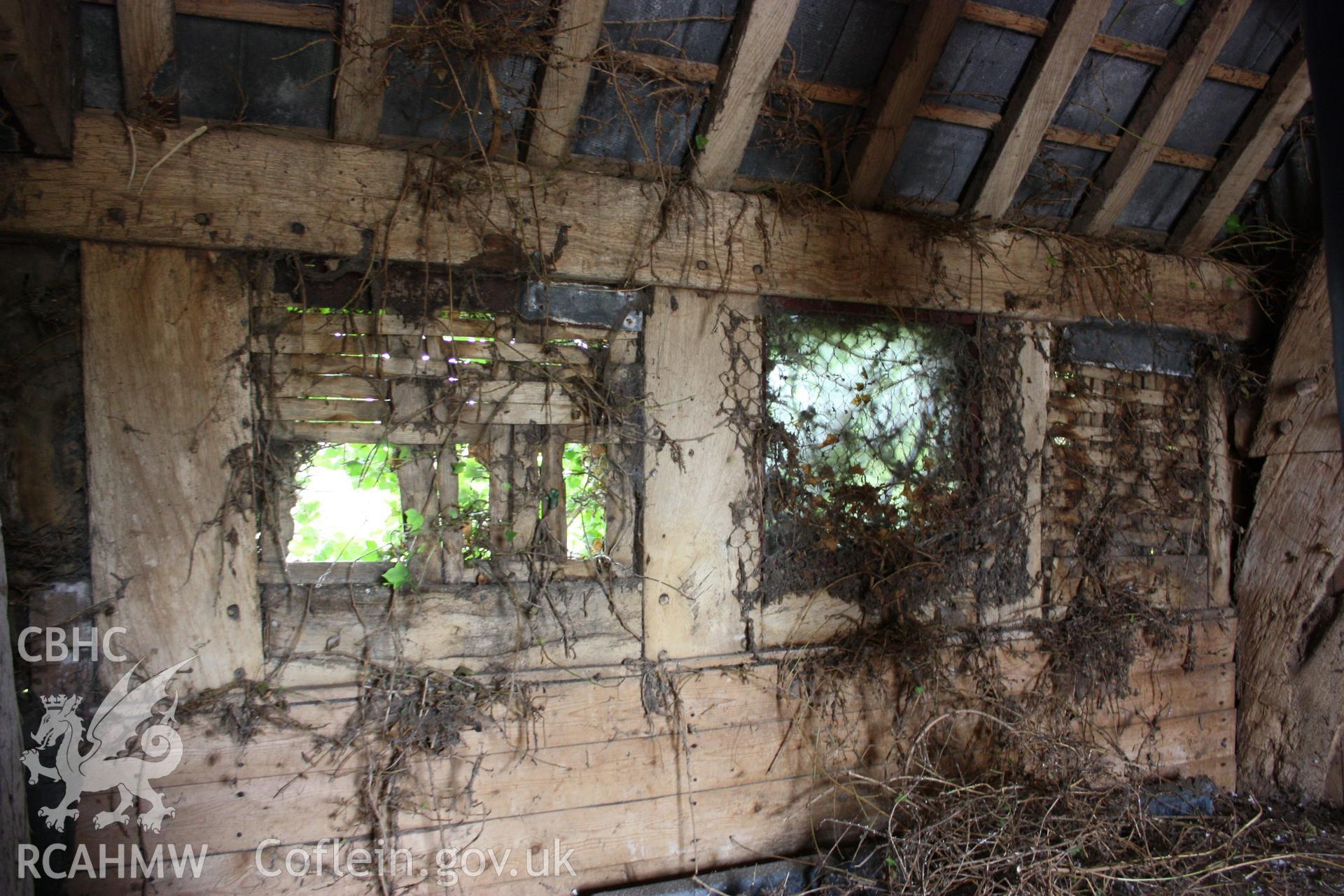 Internal view of wooden panelling, beams and overgrown window spaces. Photographic survey of Marian Mawr in Cwm, Denbighshire by Geoff Ward on 20th August 2010.