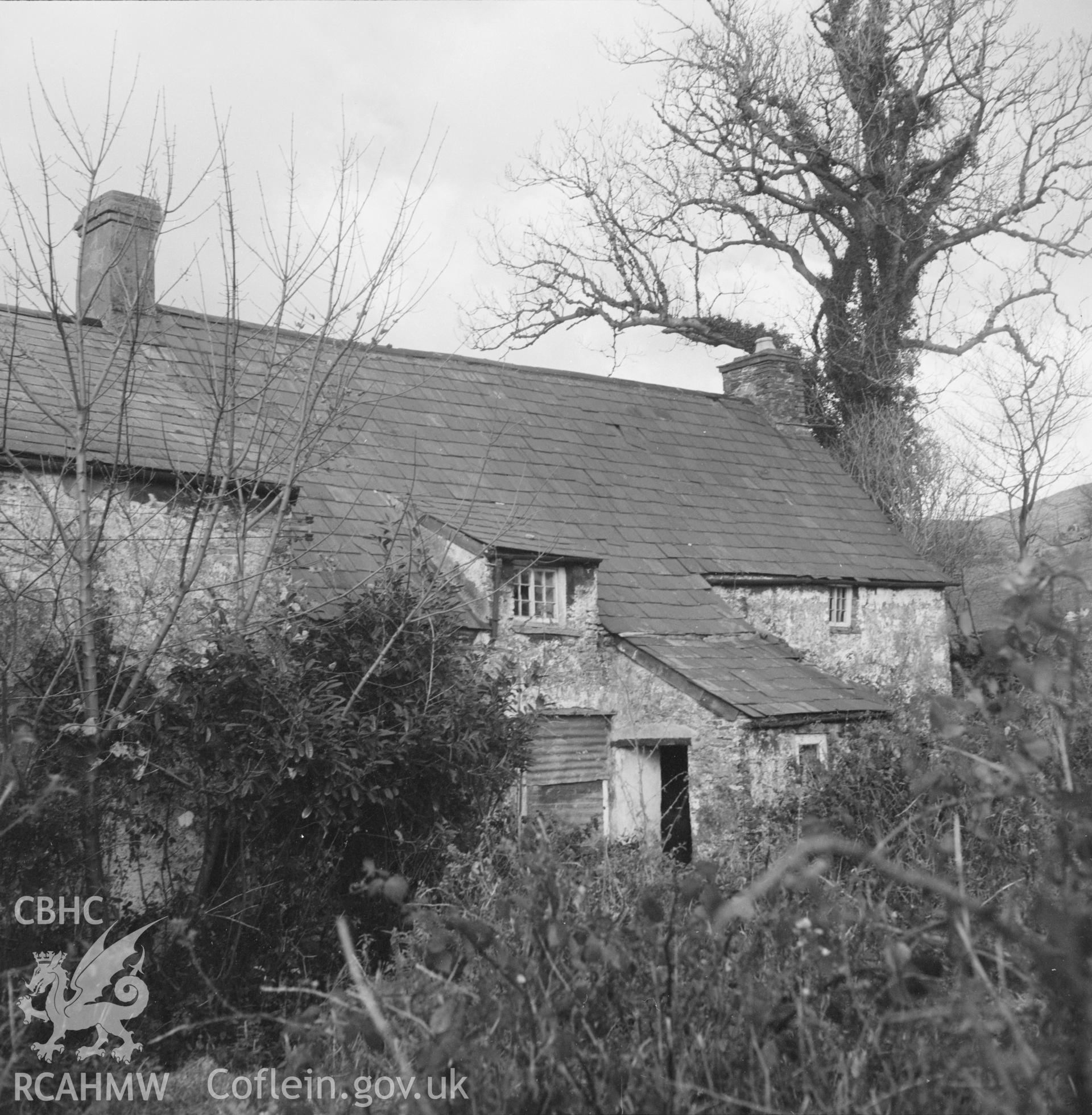 Digital copy of a black and white negative showing Ty'n y Waun, Bettws, taken 17th November 1966.