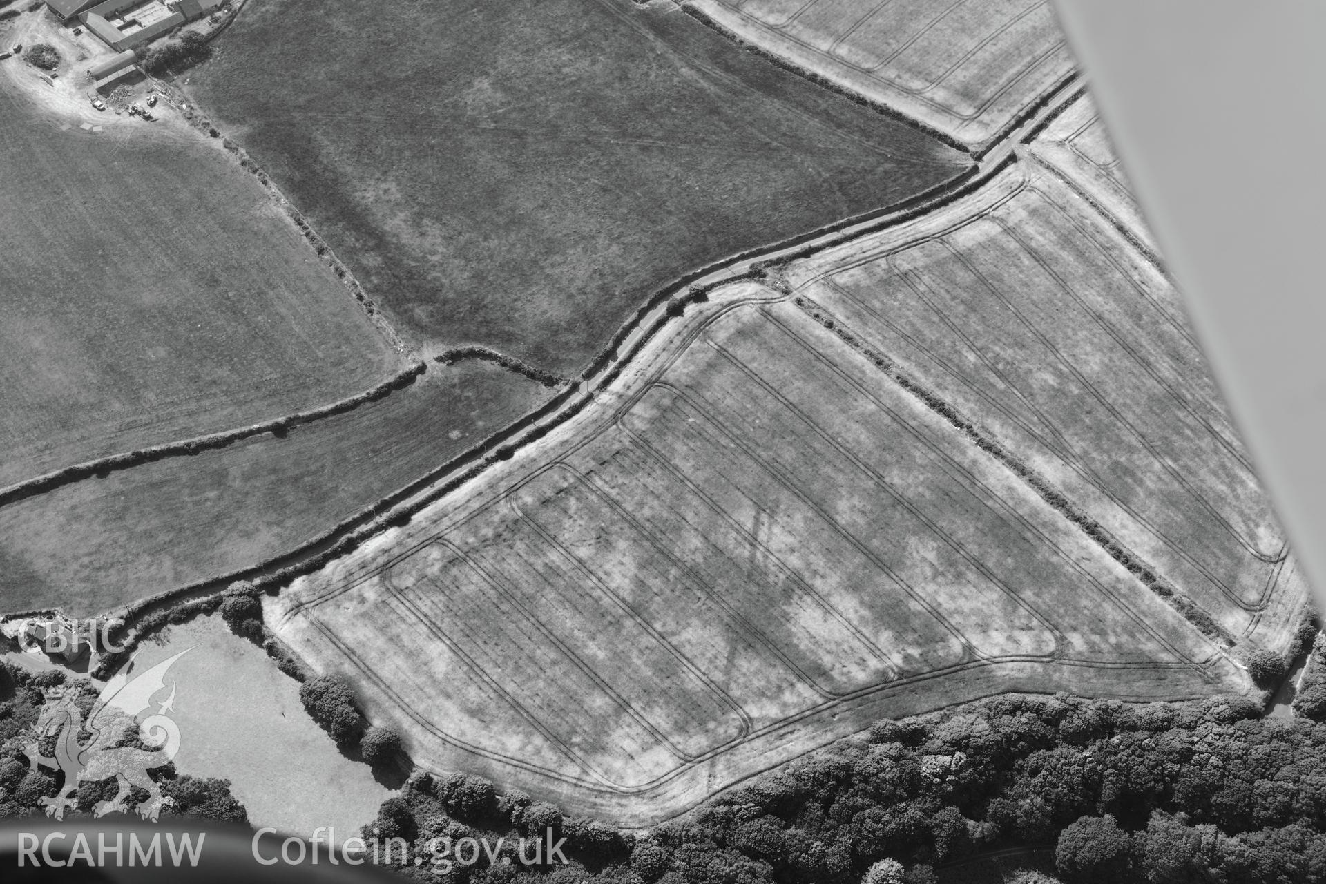Pont y Penyd Cropmarks, St Davids. Oblique aerial photograph taken during the Royal Commission?s programme of archaeological aerial reconnaissance by Toby Driver on 16th July 2013.
