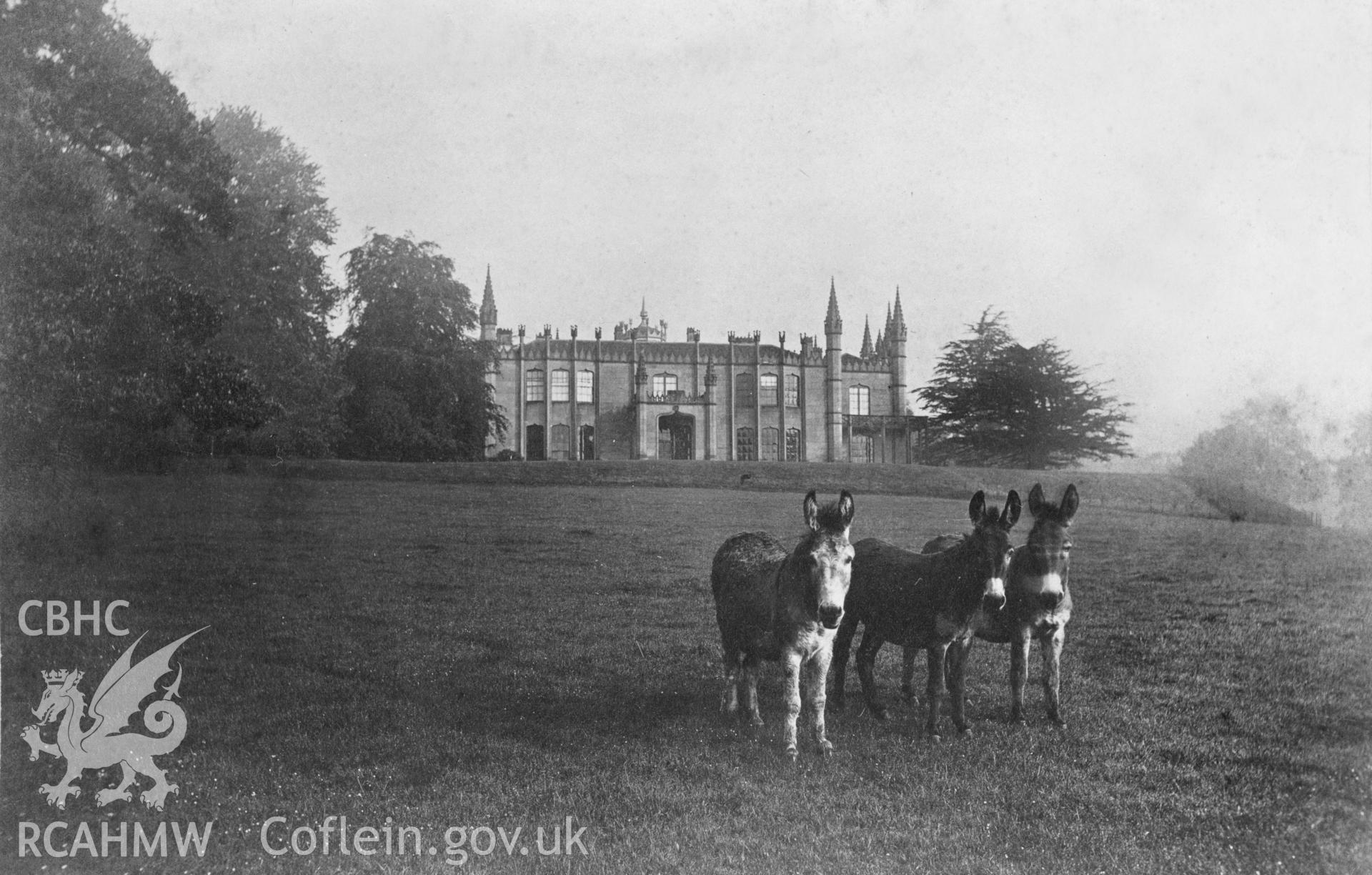 Digital copy of a black and white nitrate negative, exterior view of Garth Hall in its setting with 3 donkeys in the foreground.