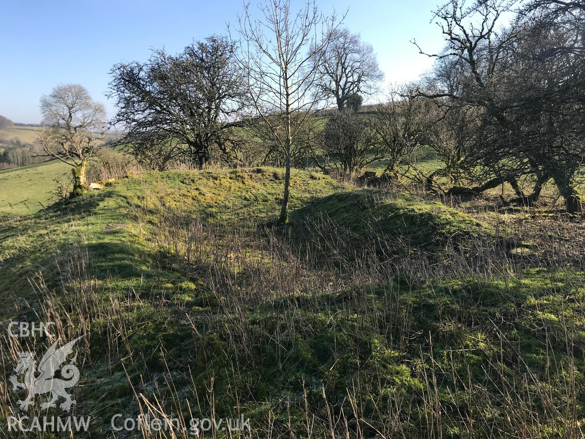 Digital colour photograph showing the site of Ednol Church, west of Presteigne, taken by Paul Davis on 7th February 2020.