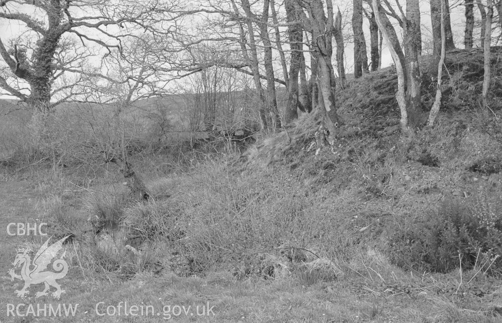 Digital copy of a black and white negative showing the west side of Castell Nant-y-Garan motte and surrounding flooded ditch, Llandyfriog. Photographed by Arthur O. Chater in April 1966 from Grid Reference SN 370 422, looking north west.