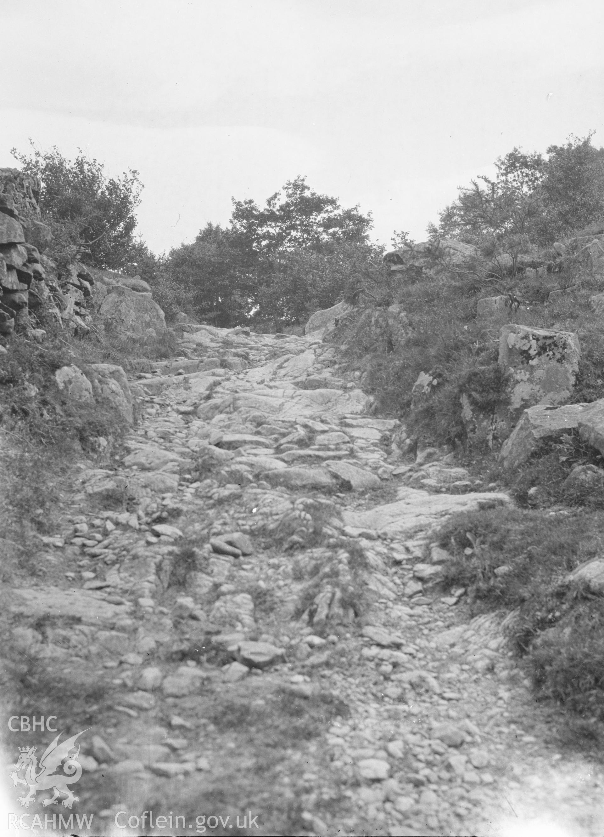 Digital copy of a nitrate negative showing Bryn y Gefeiliau Roman site. Reverse of black and white photograph reads: 'Caern. Capel Curig. Roman Road above Bryn y Gefeiliau / 7.VI.22.' From the Cadw Monuments in Care Collection.
