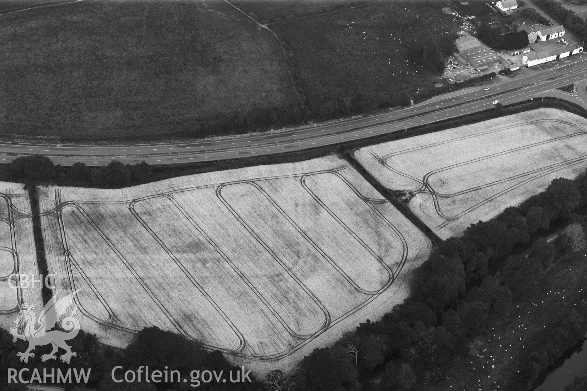 Cefn-brynich Roman fort, detailed view (black and white)  of cropmarks of Roman fort from south, taken by RCAHMW 1st August 2013.