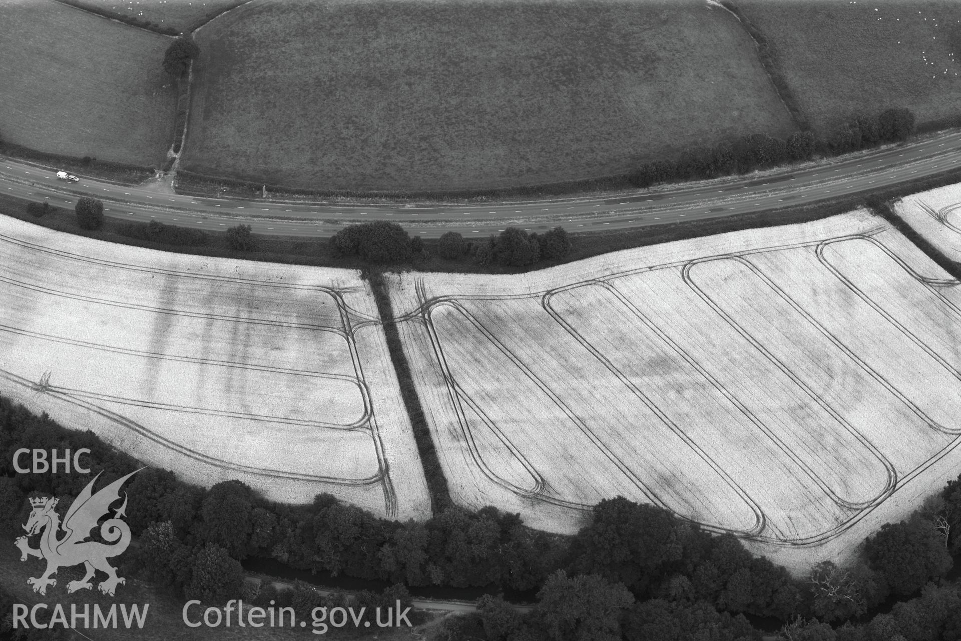 Cefn-brynich Roman fort, detailed view (black and white) of cropmarks of Roman fort from south, taken by RCAHMW 1st August 2013.