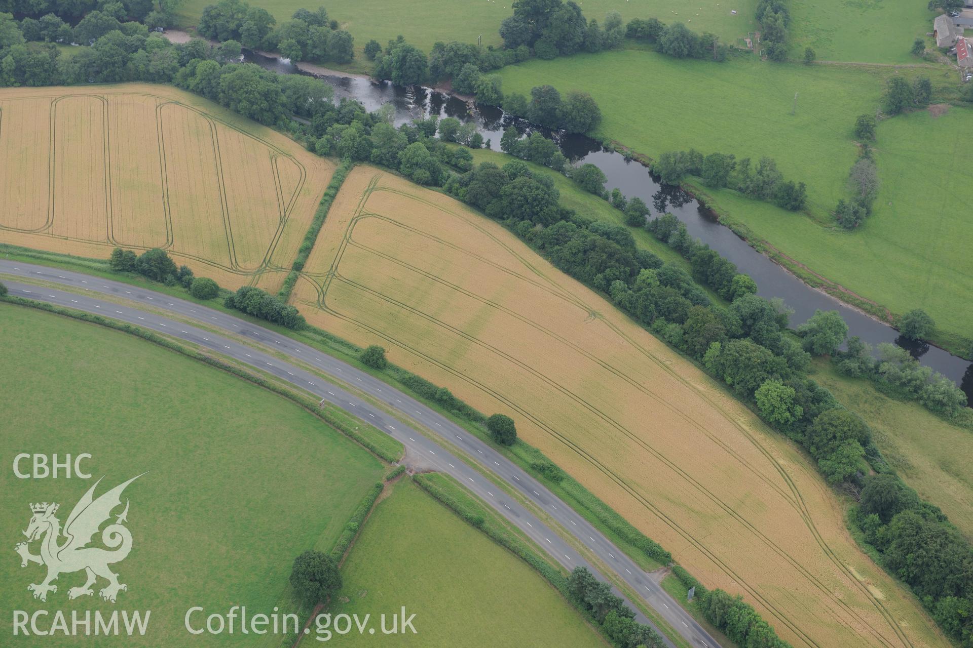 Cefn-brynich Roman fort, general view of cropmarks from north showing marching camp to west of fort, taken by RCAHMW 1st August 2013.