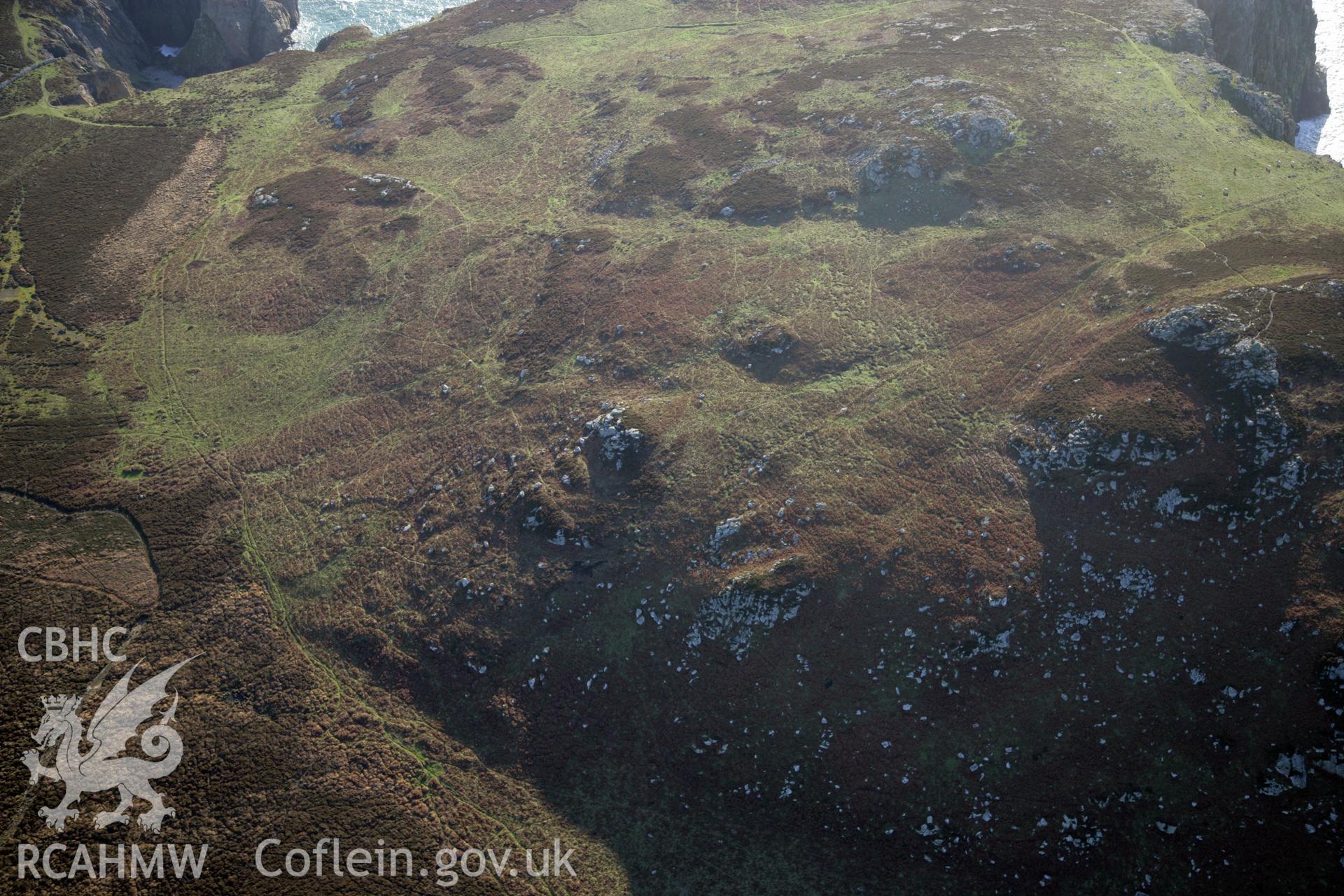 RCAHMW colour oblique photograph of relict field enclosure features, Ramsey Island. Taken by O. Davies & T. Driver on 22/11/2013.