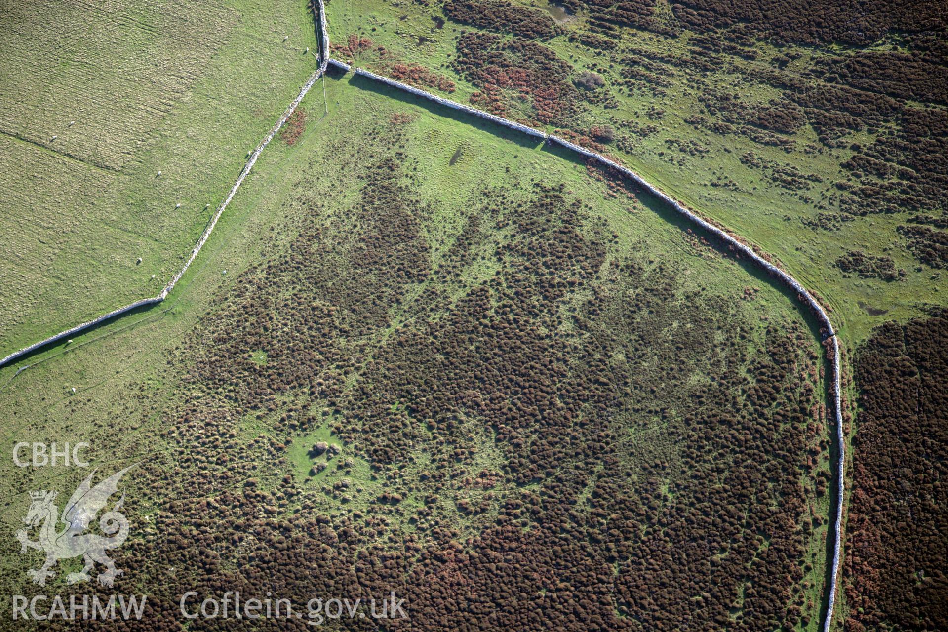 RCAHMW colour oblique photograph of field walls, Ramsey Island. Taken by O. Davies & T. Driver on 22/11/2013.